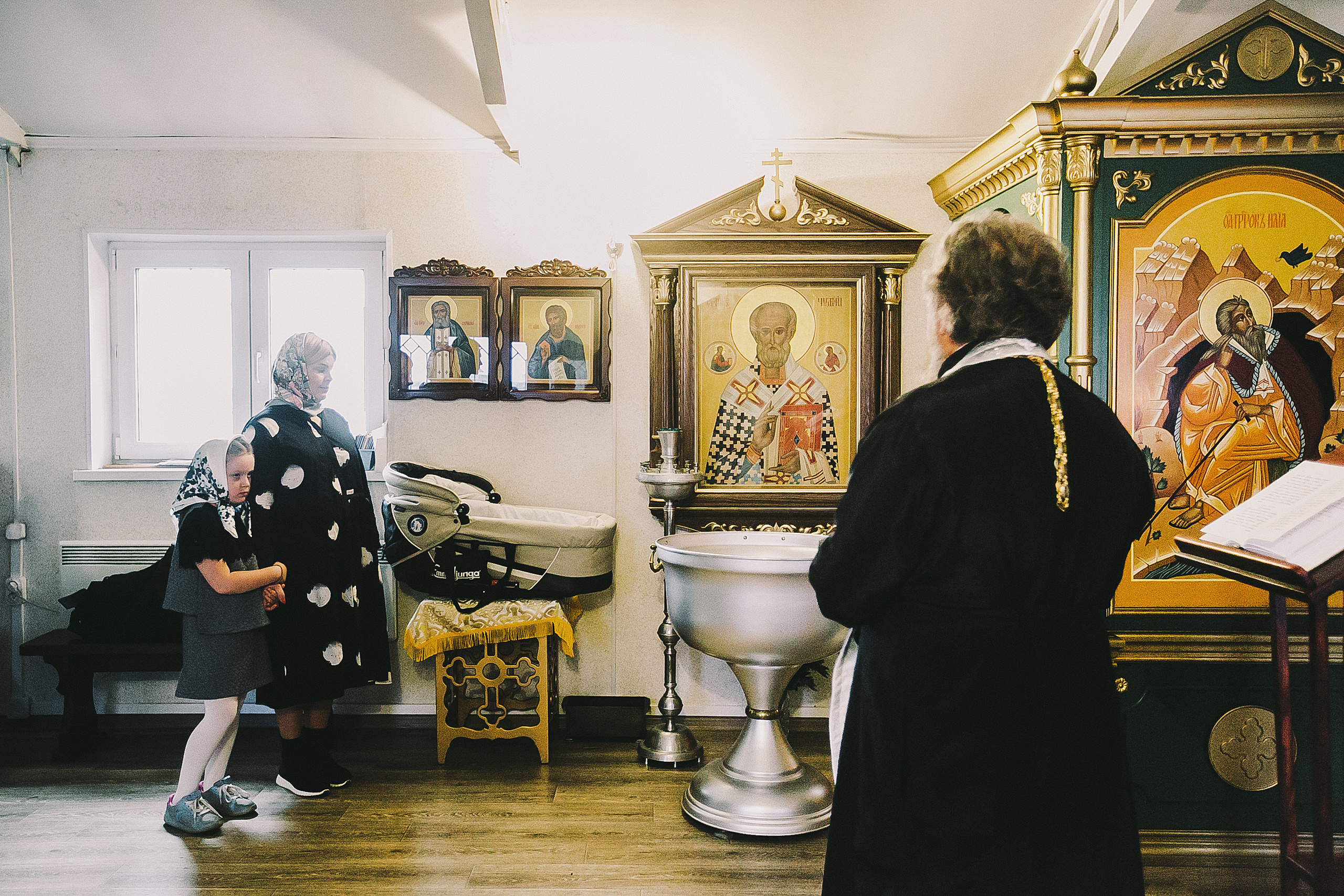 Давид. Храм Святой Троицы, с. Луговое. Фотограф Полина Егорова город Тюмень