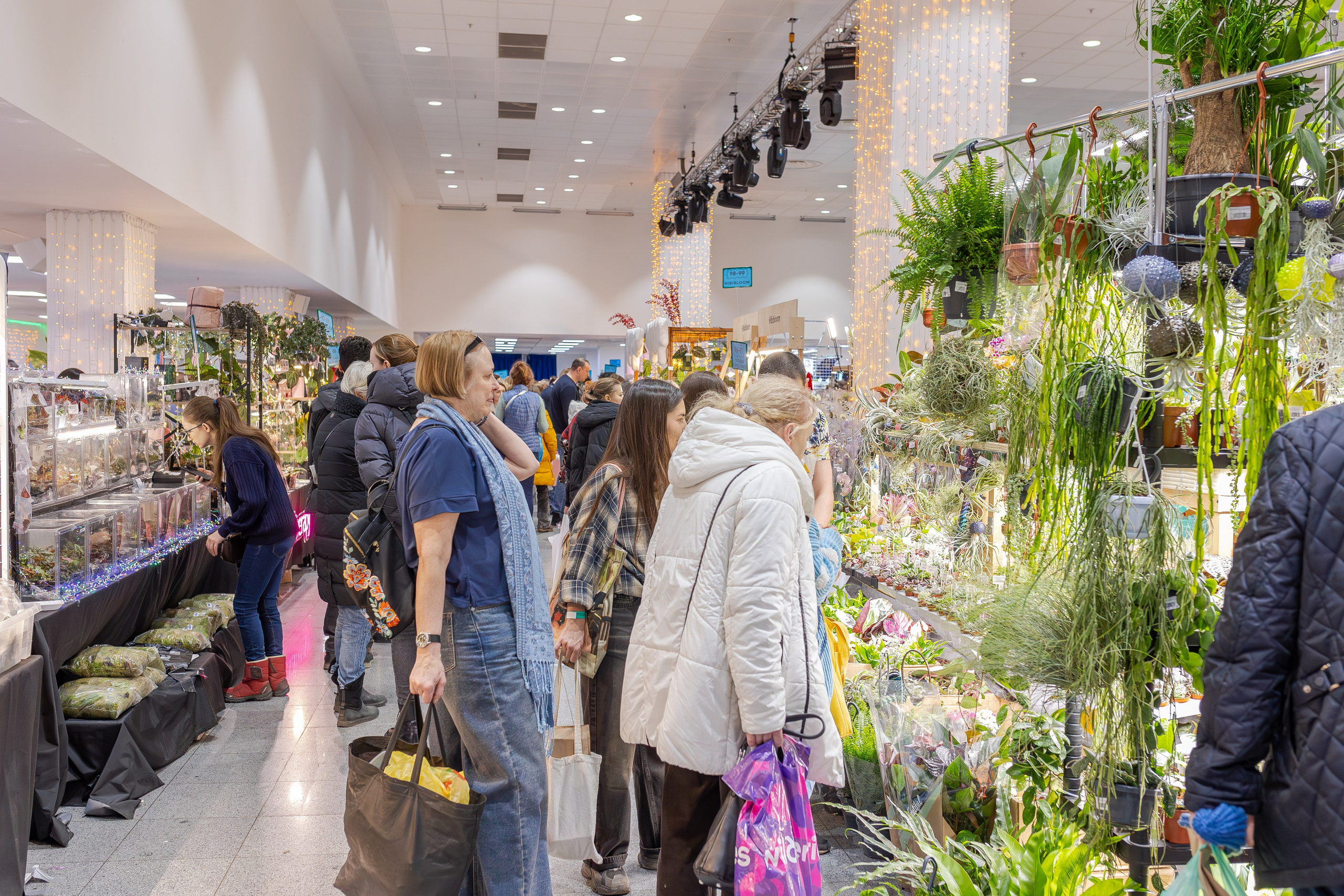 Орхидиум 12.2025. Александра Куликова фотограф, Москва