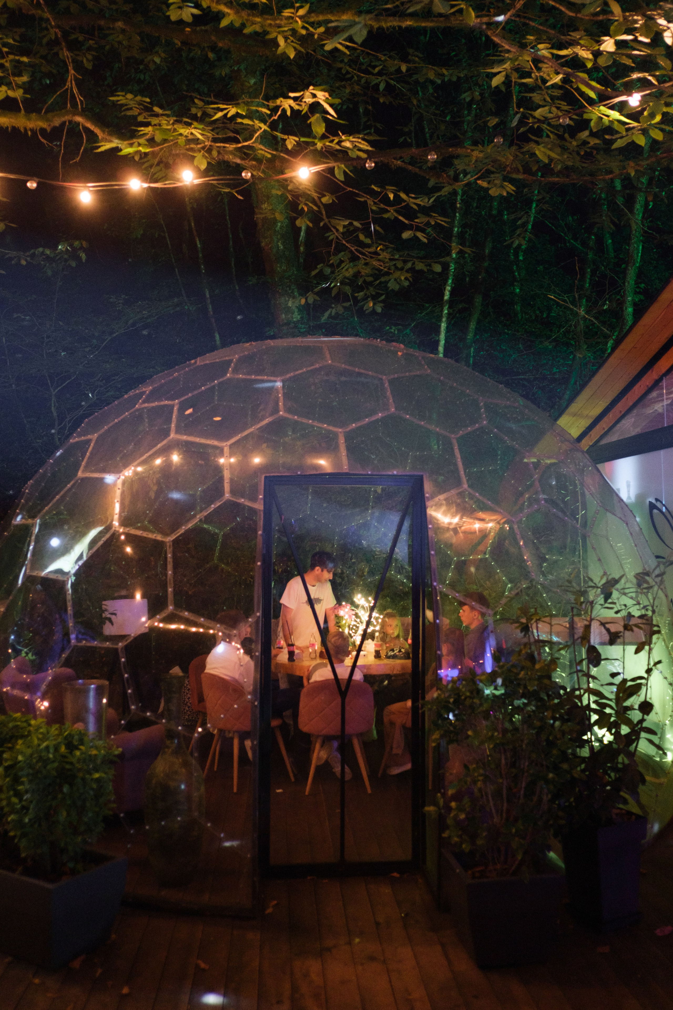 Кот и Дракон. Свадебный Видеограф Фотограф в Сочи