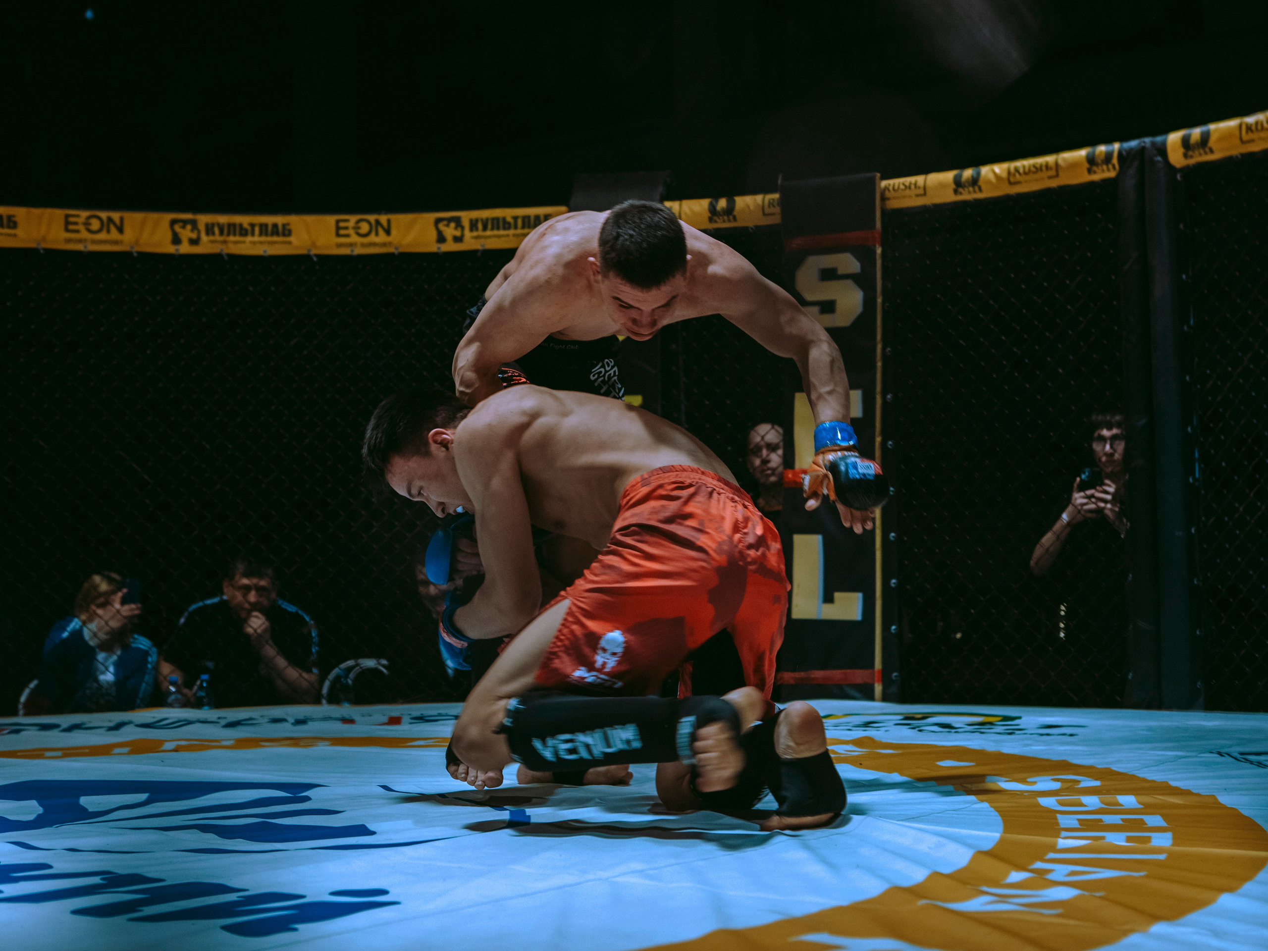 SFL 17 | Siberian Fighting League. Портретный фотограф в Москве Дарья Цезария