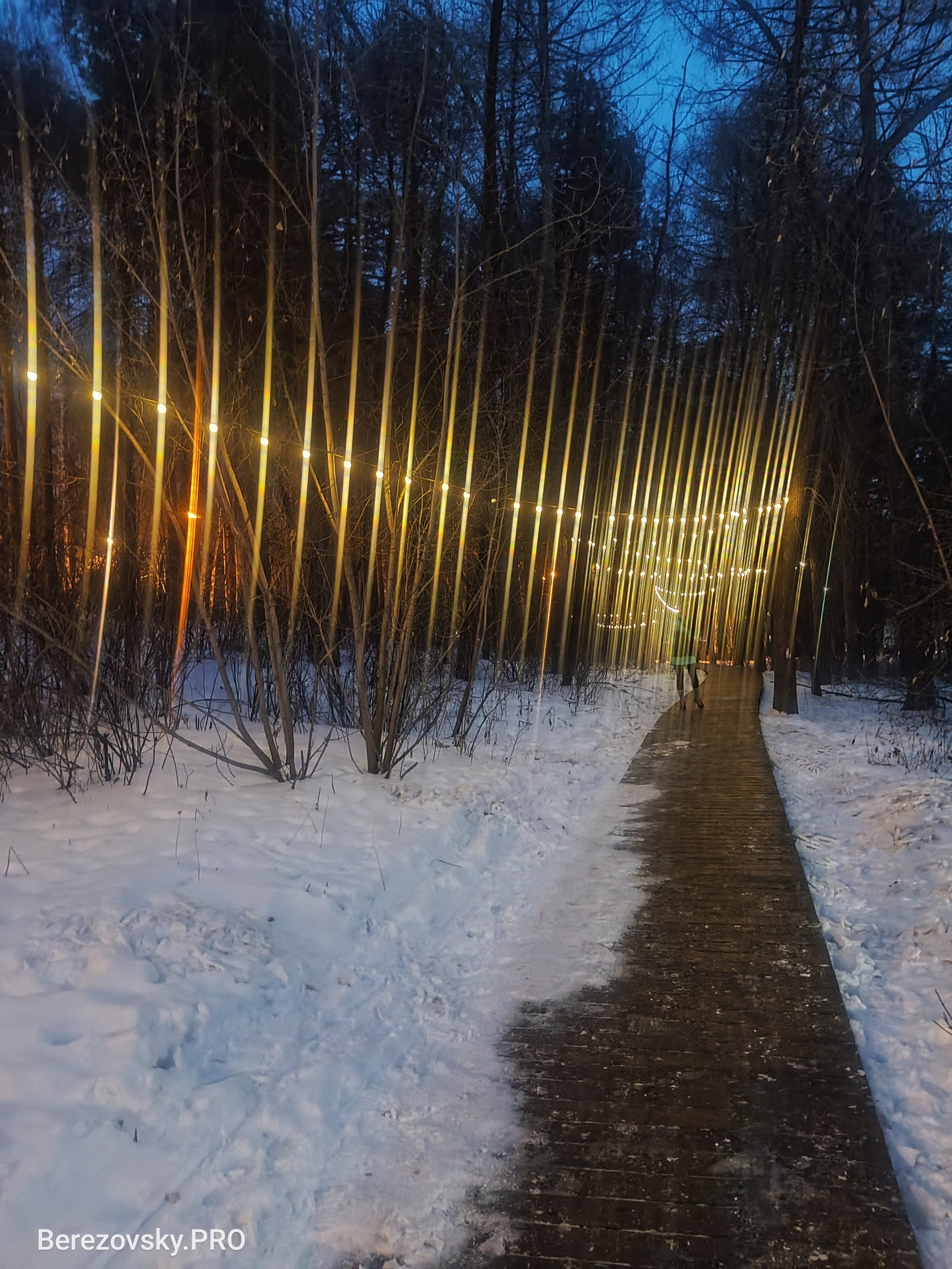 Солнечный. Фотограф в Санкт-Петербурге Березовский Даниил