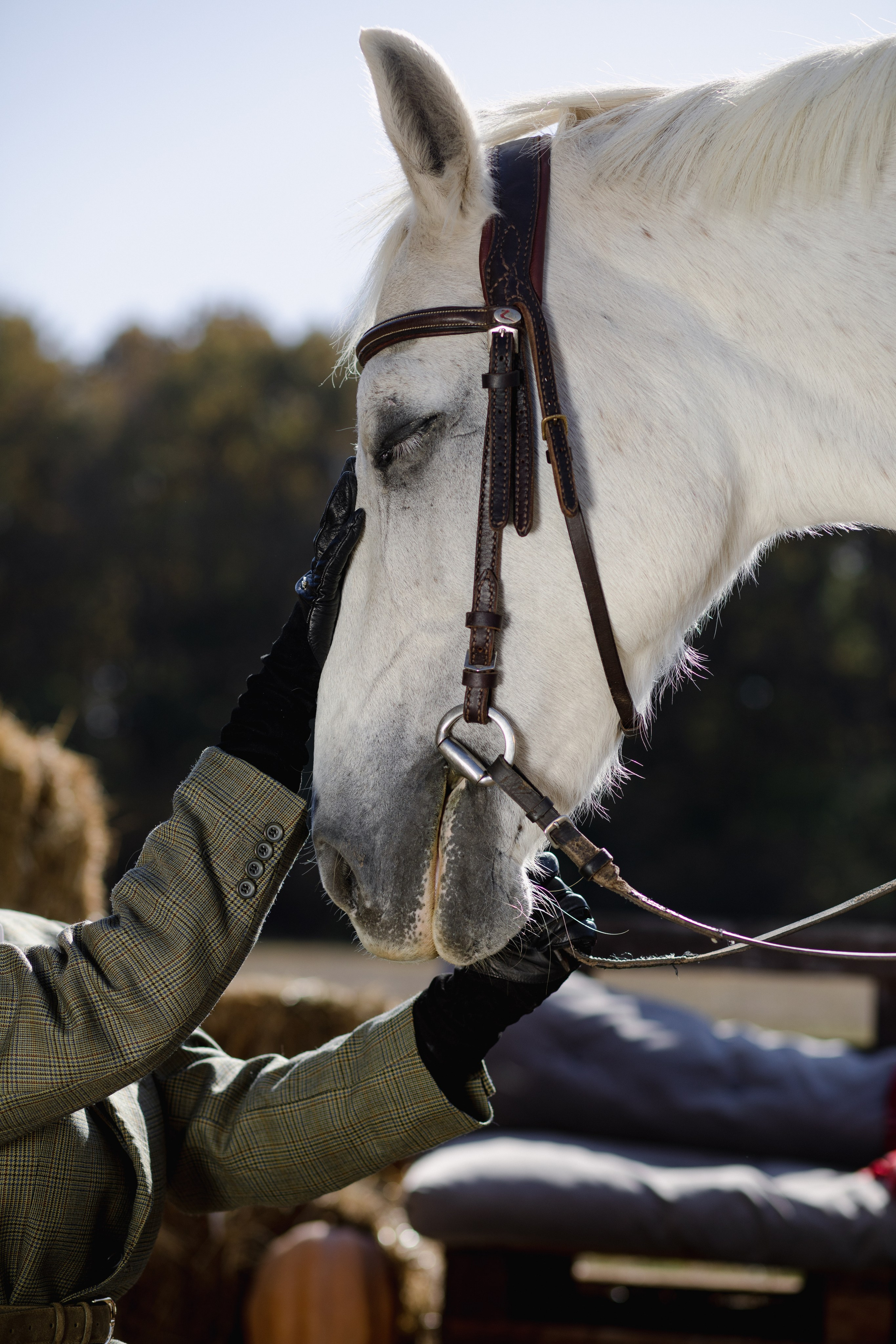 People & Horses [2023]. Anastasia Leonowa
