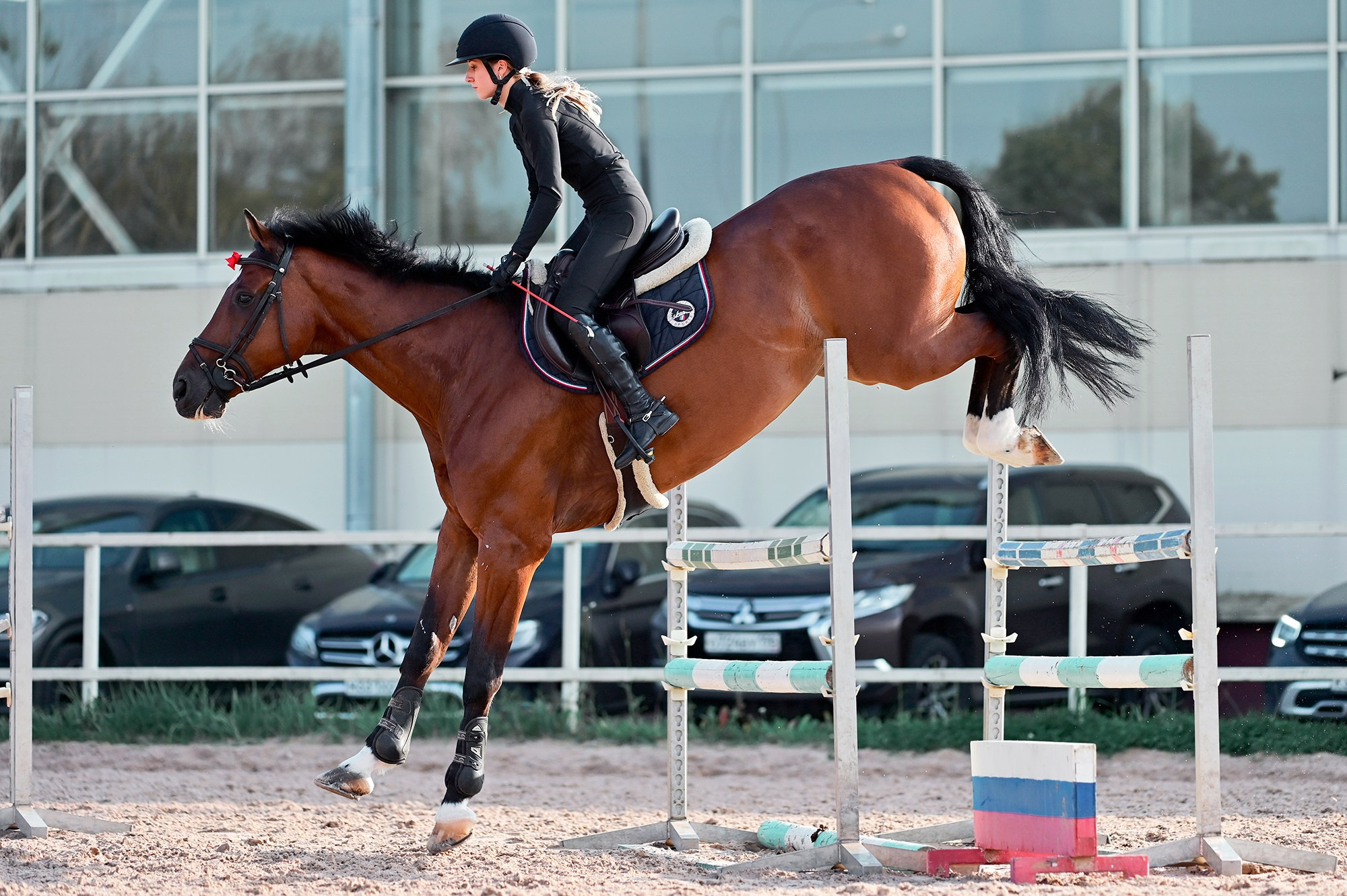 Тренировки. Конный фотограф Alesya Safe