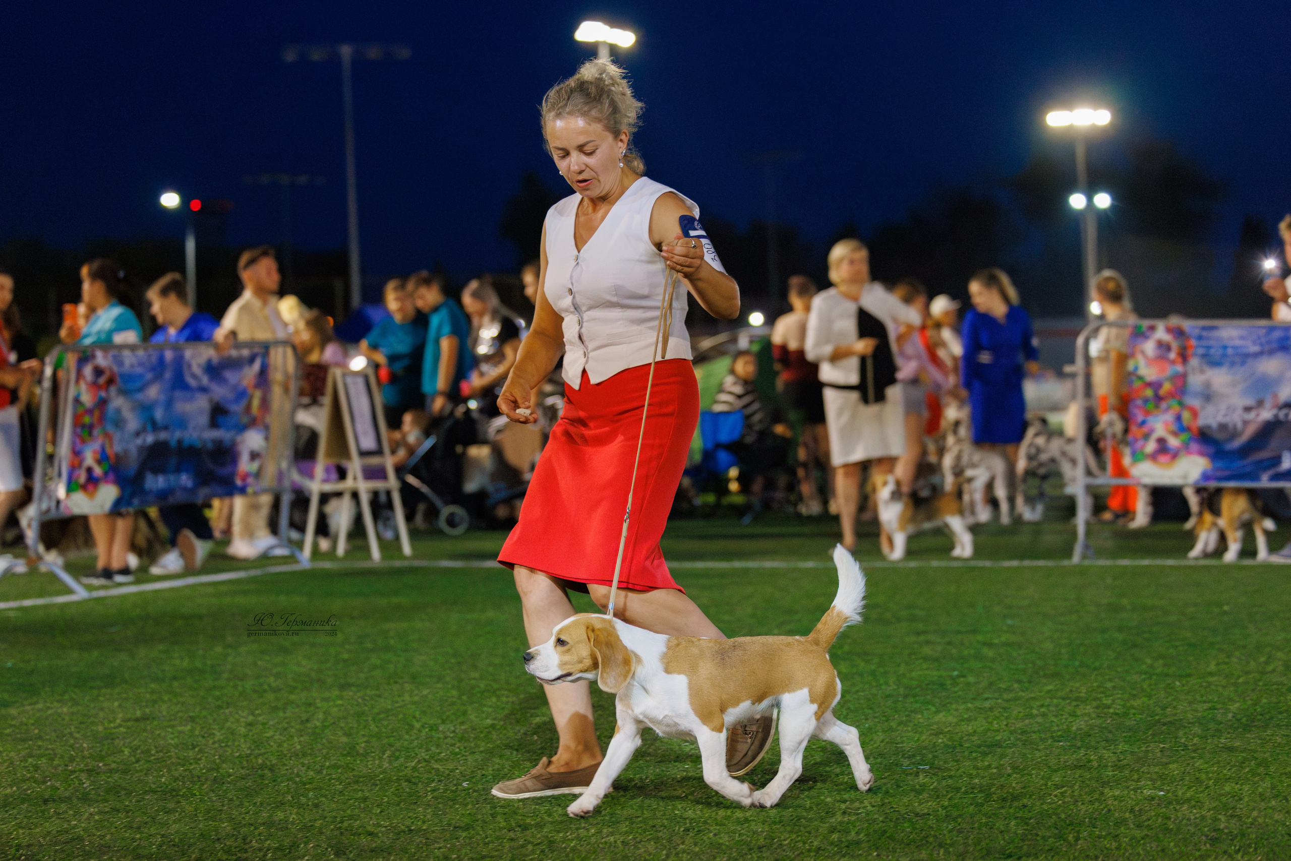 Волгоград 2-4.08.2024. Фотограф-анималист Юлия Германика