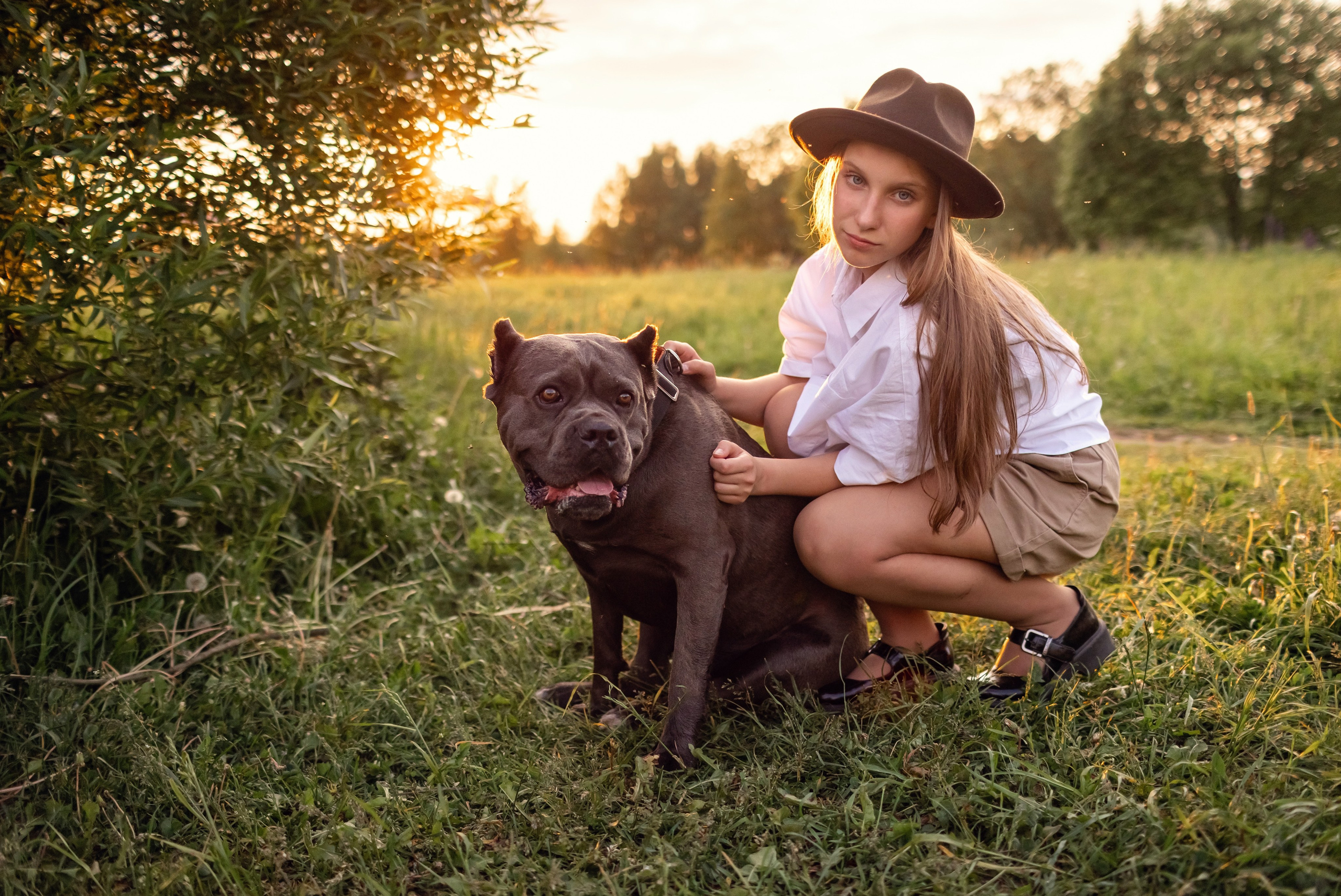 Собака Баскервилей. Детский и семейный фотограф в Москве Анна Ипатьева