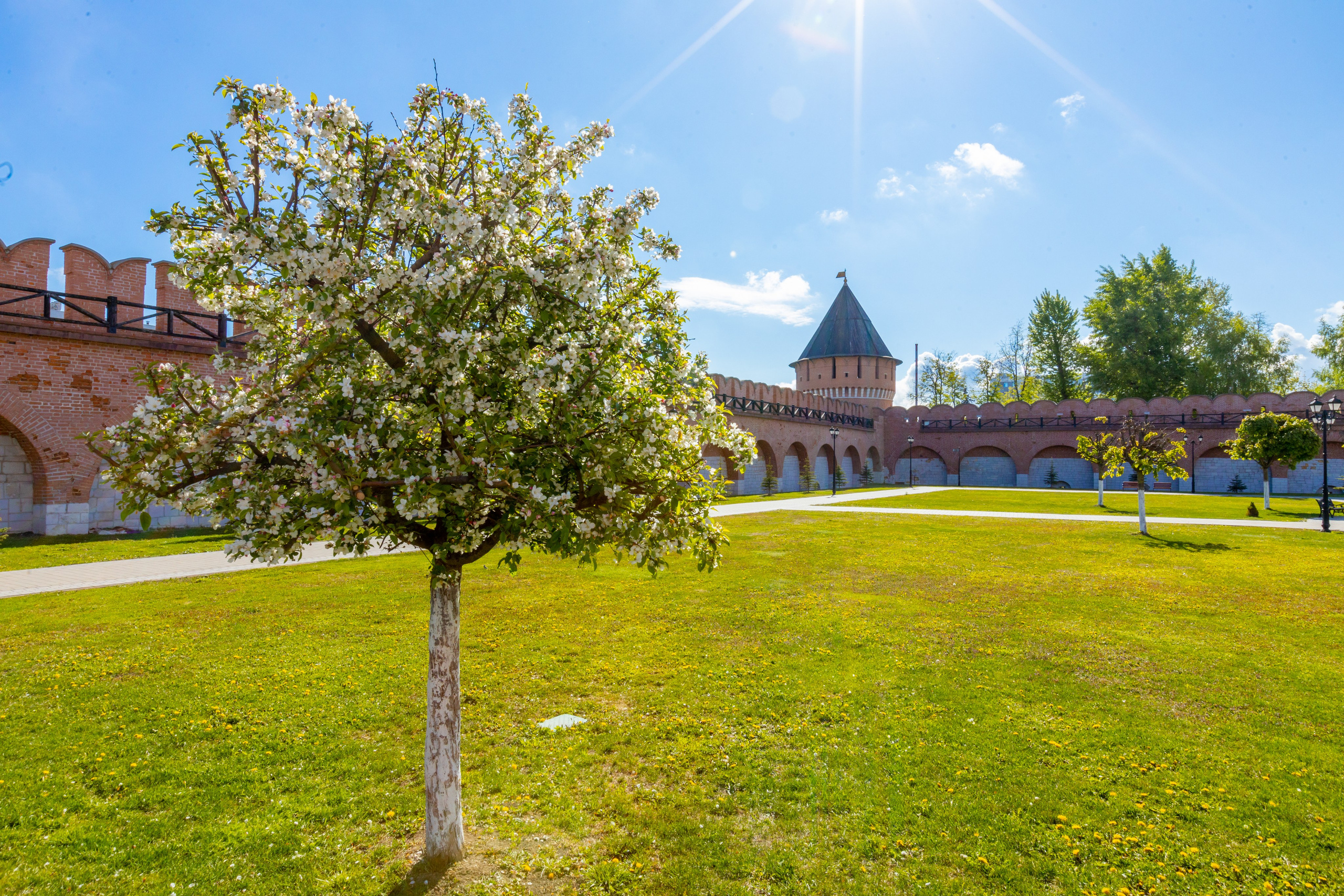 Весеннее цветение в Туле. Фотограф в Туле Крупский АнДРей. Фотостудия «КАДР71» в Туле