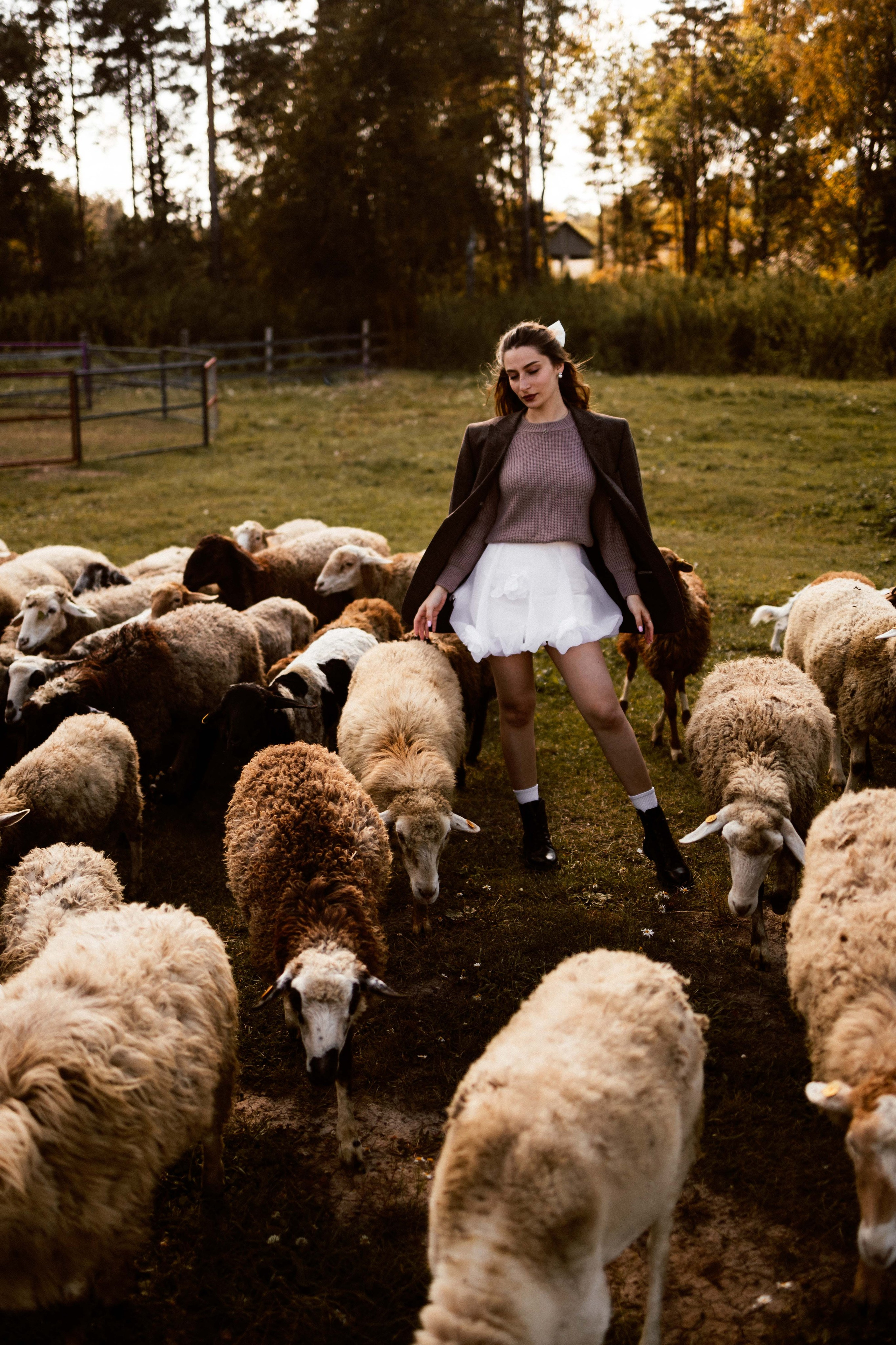 Фотосессия с овечками для Ксюши. Фотограф в Тюмени Башмакова Анна