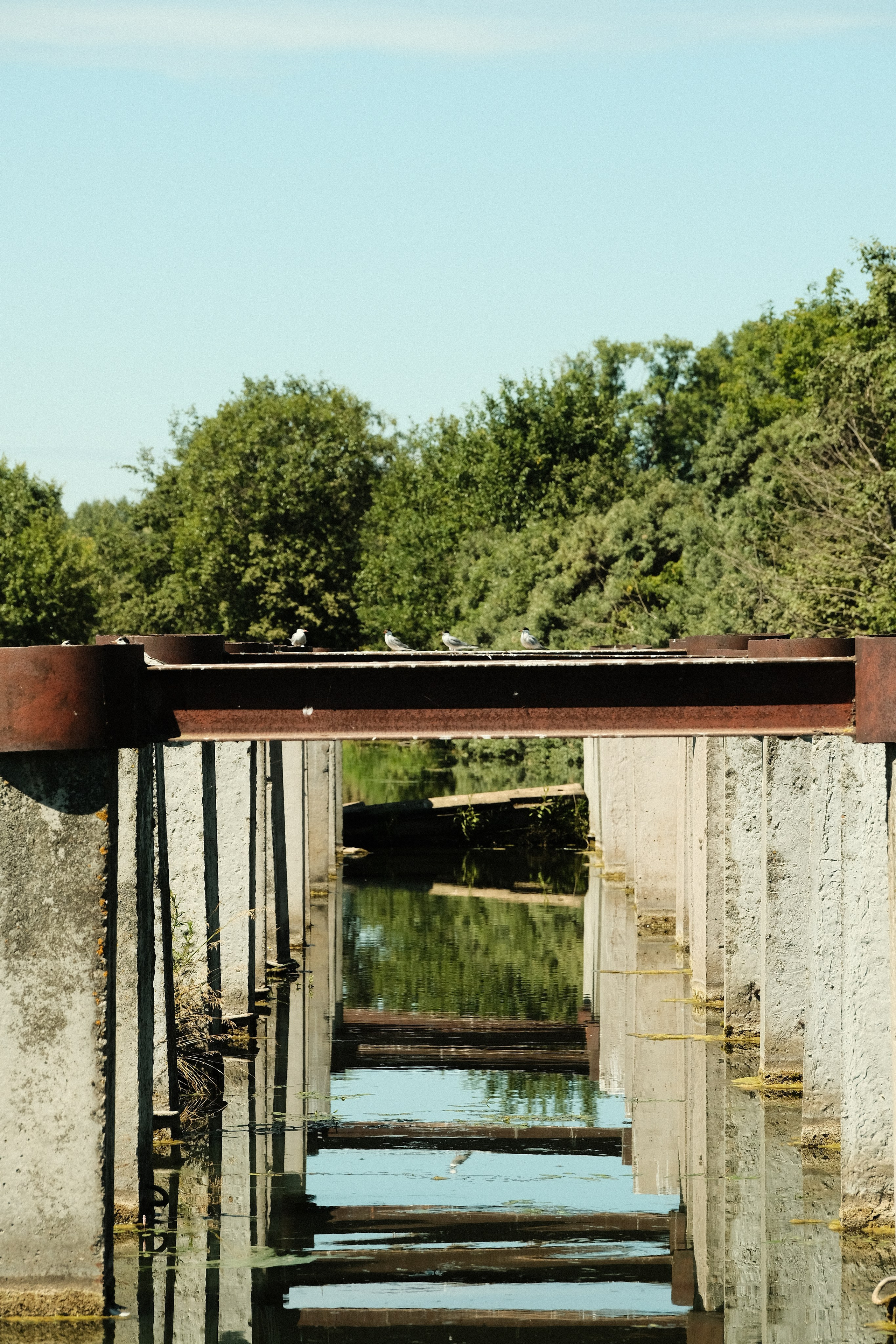 Эстетика забытых мест. Фотограф-любитель из Кирова Андрей Погребняк