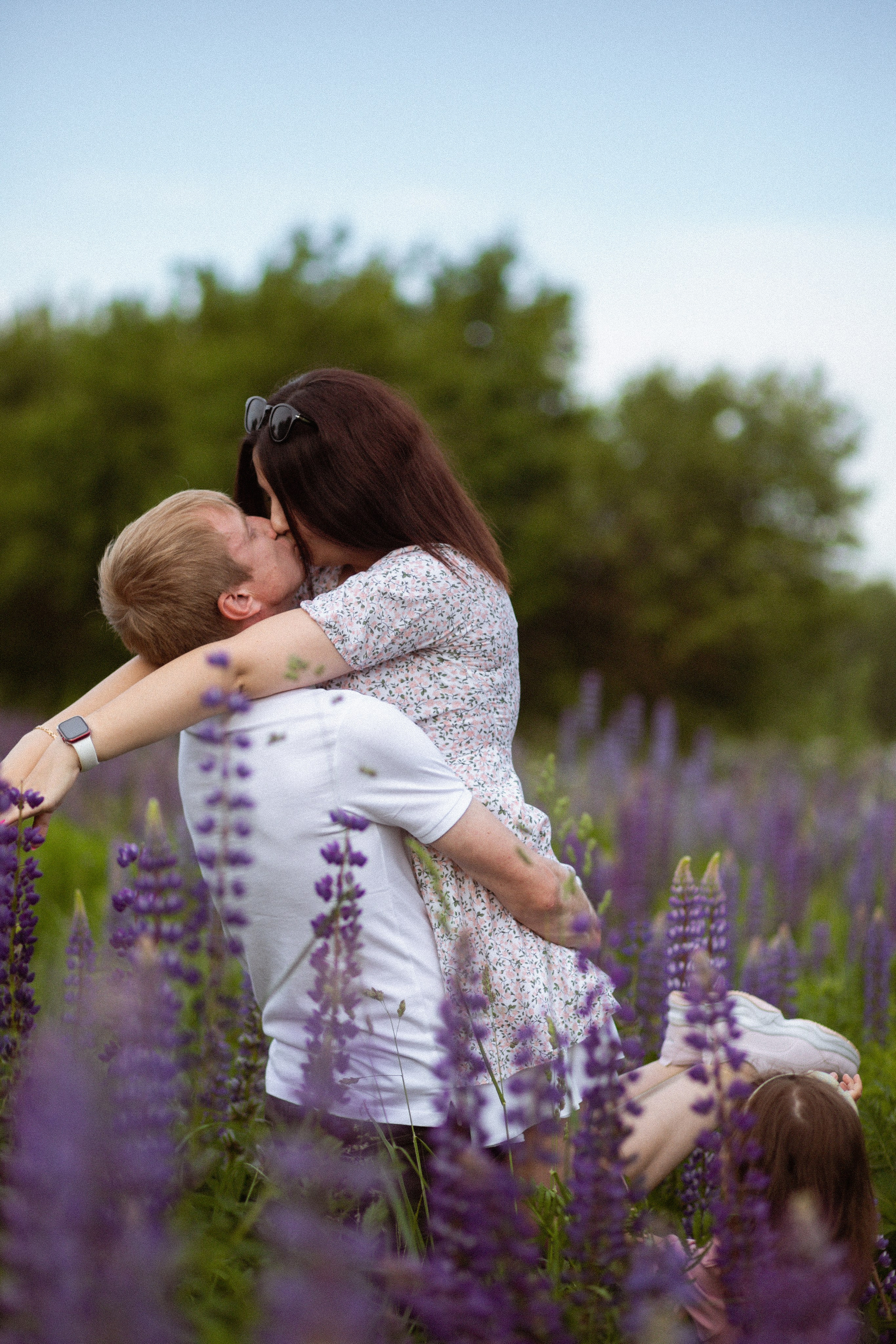 Июньские люпины. Фотограф в Москве/Санкт-Петербурге