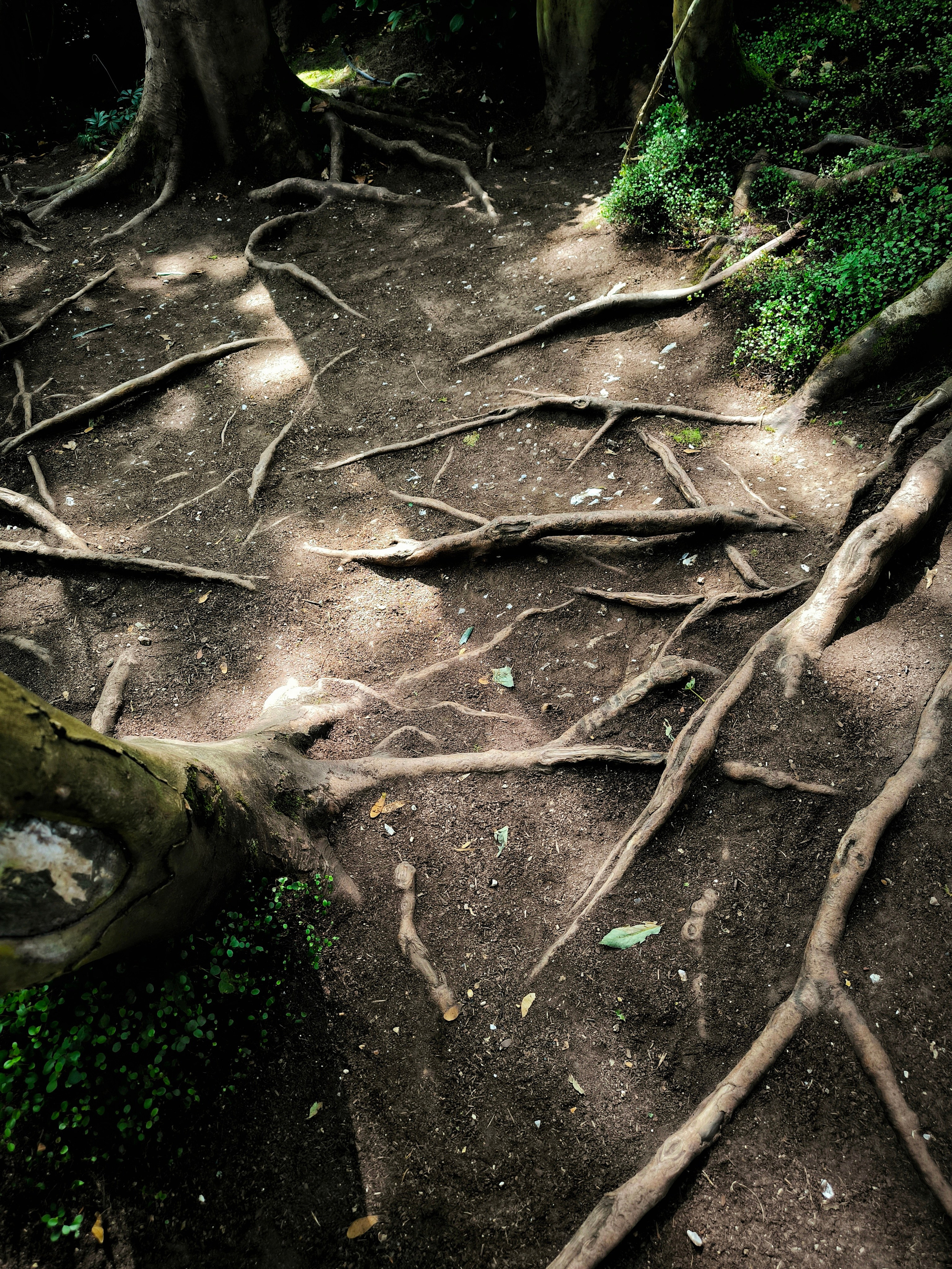 Nature. Street photographer Ksenya Loboda