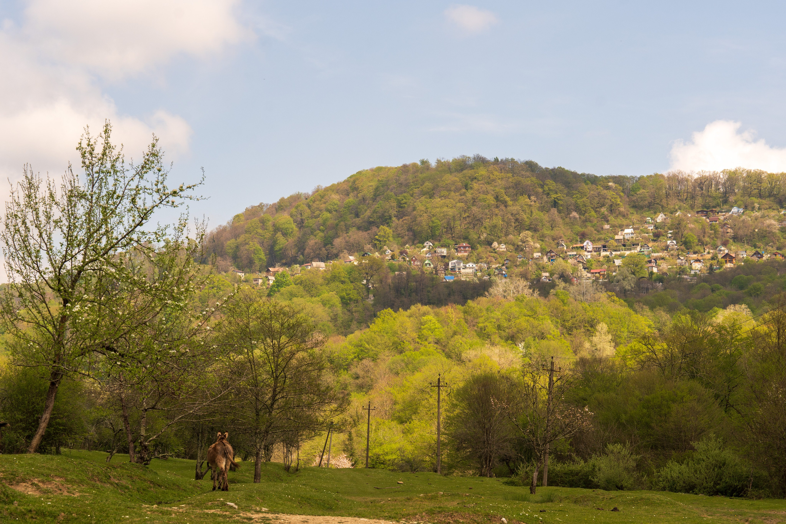 MICE мероприятие — джиппинг на каньон Псахо. Репортажный фотограф в Красной Поляне и Сочи Павлюченко Екатерина