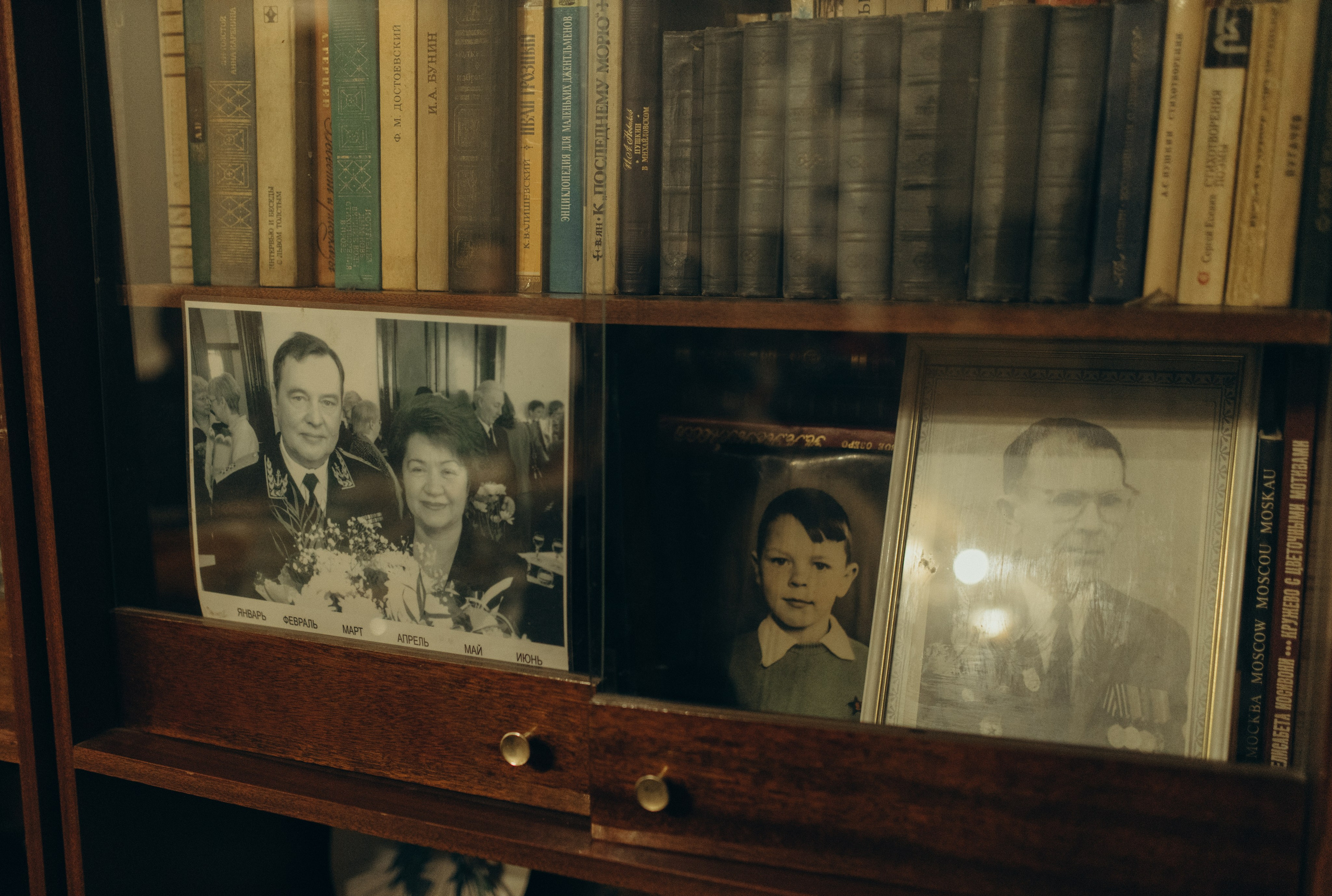 Домашняя история. Meryfotoidea