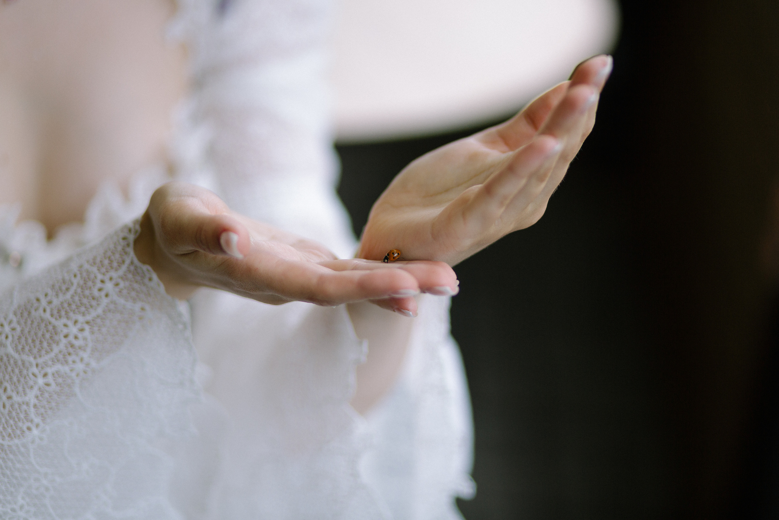 Александр и Алина 2023. Свадебный и семейный фотограф Москва Екатерина Верижникова