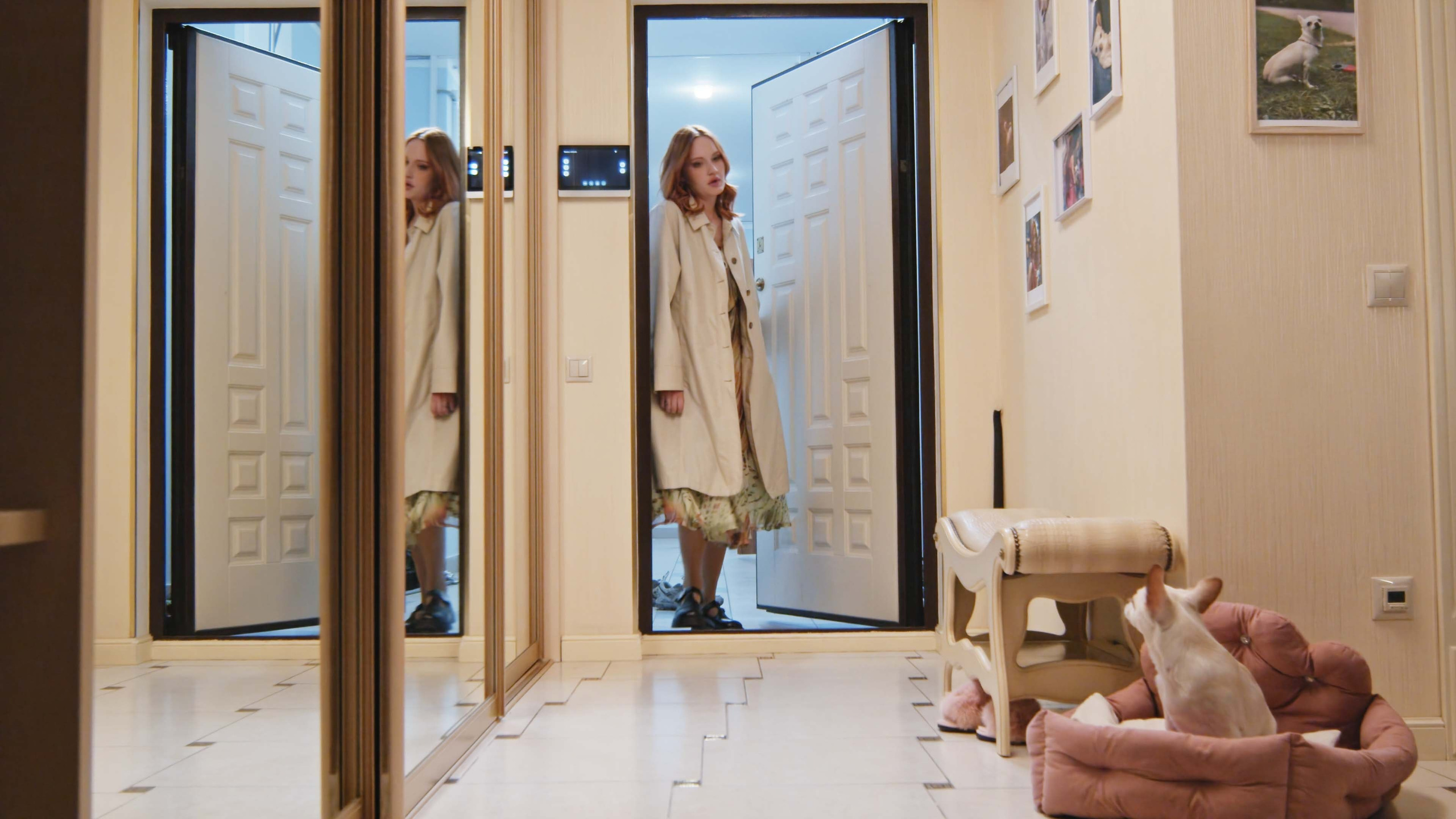 Короткометражный фильм о четвероногом друге. Цветокоррекция видео