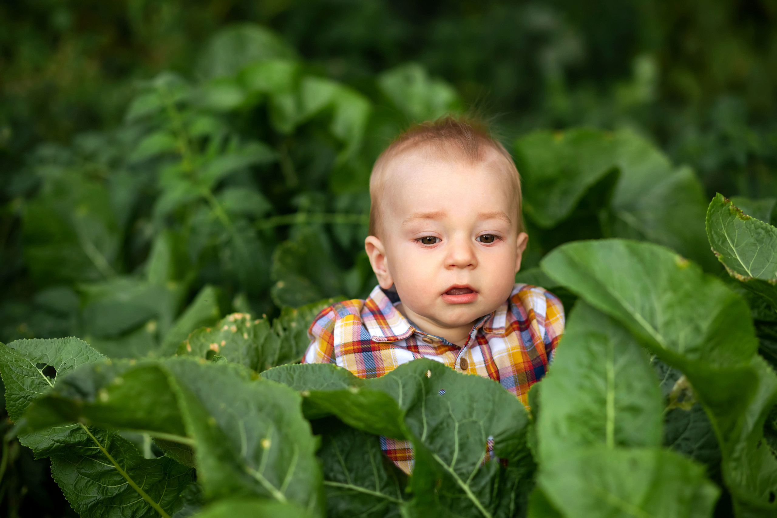 Семья и дети. Свадебный и семейный фотограф в Бресте Светлана Эстер