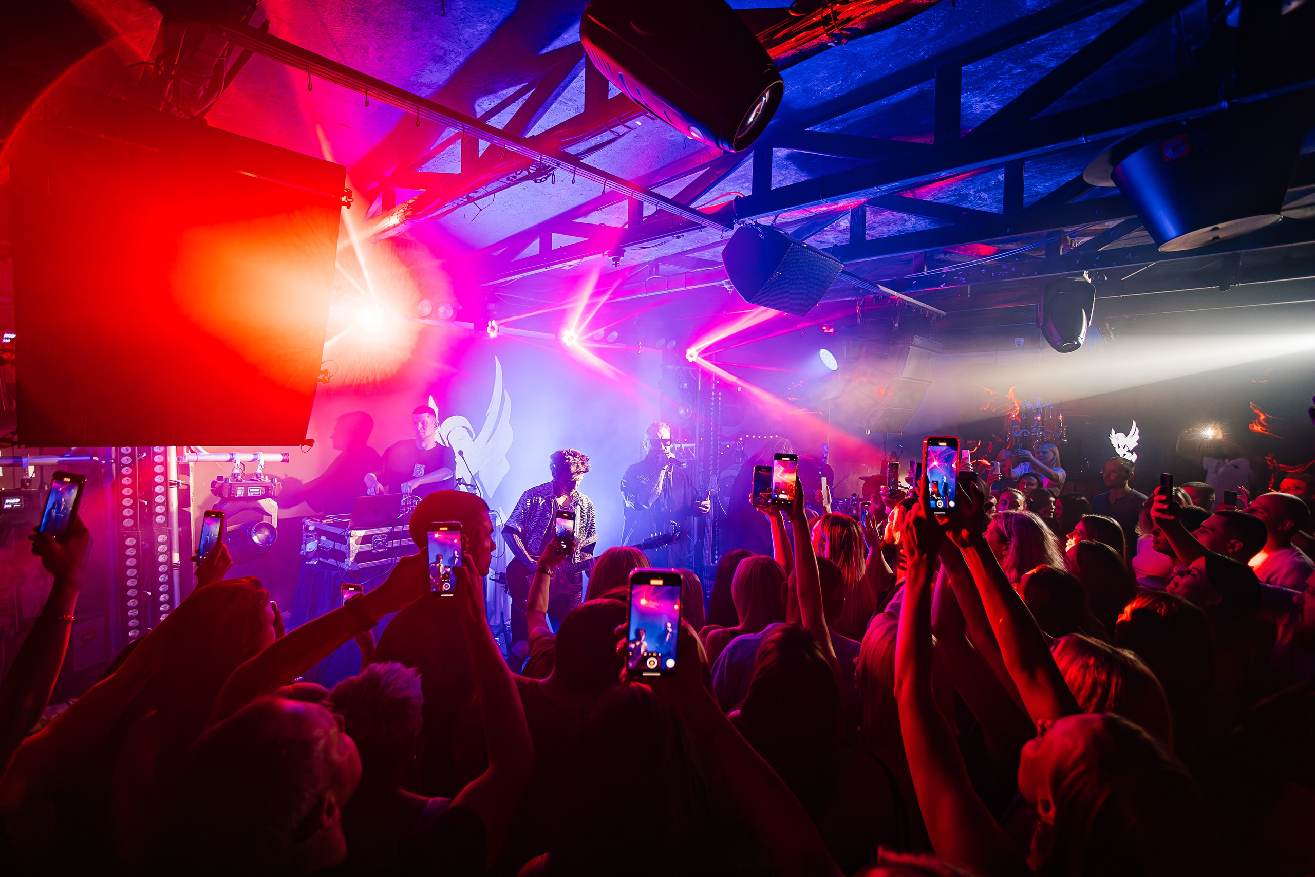 Бурито_Чайка_на_пляже_Ялта 23.08.2024. Аминов Руслан | Фотограф