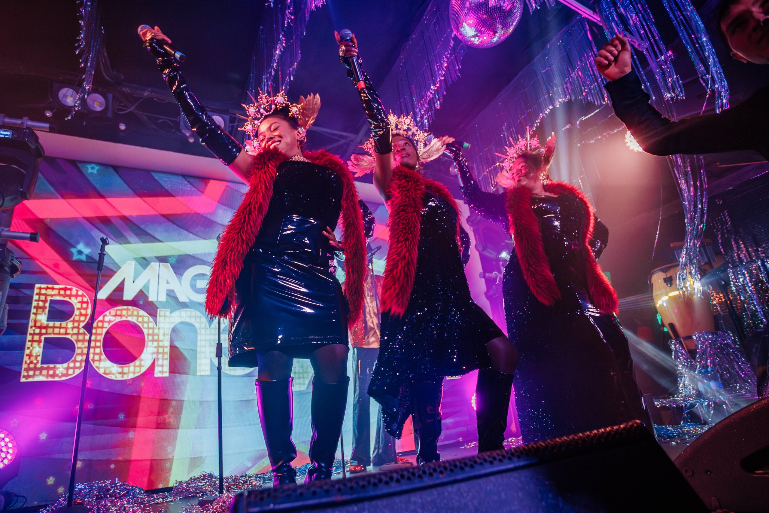 «Magic of BONEY`M «_Чайка на пляже_Ялта_06.12.2025 г. Аминов Руслан | Фотограф