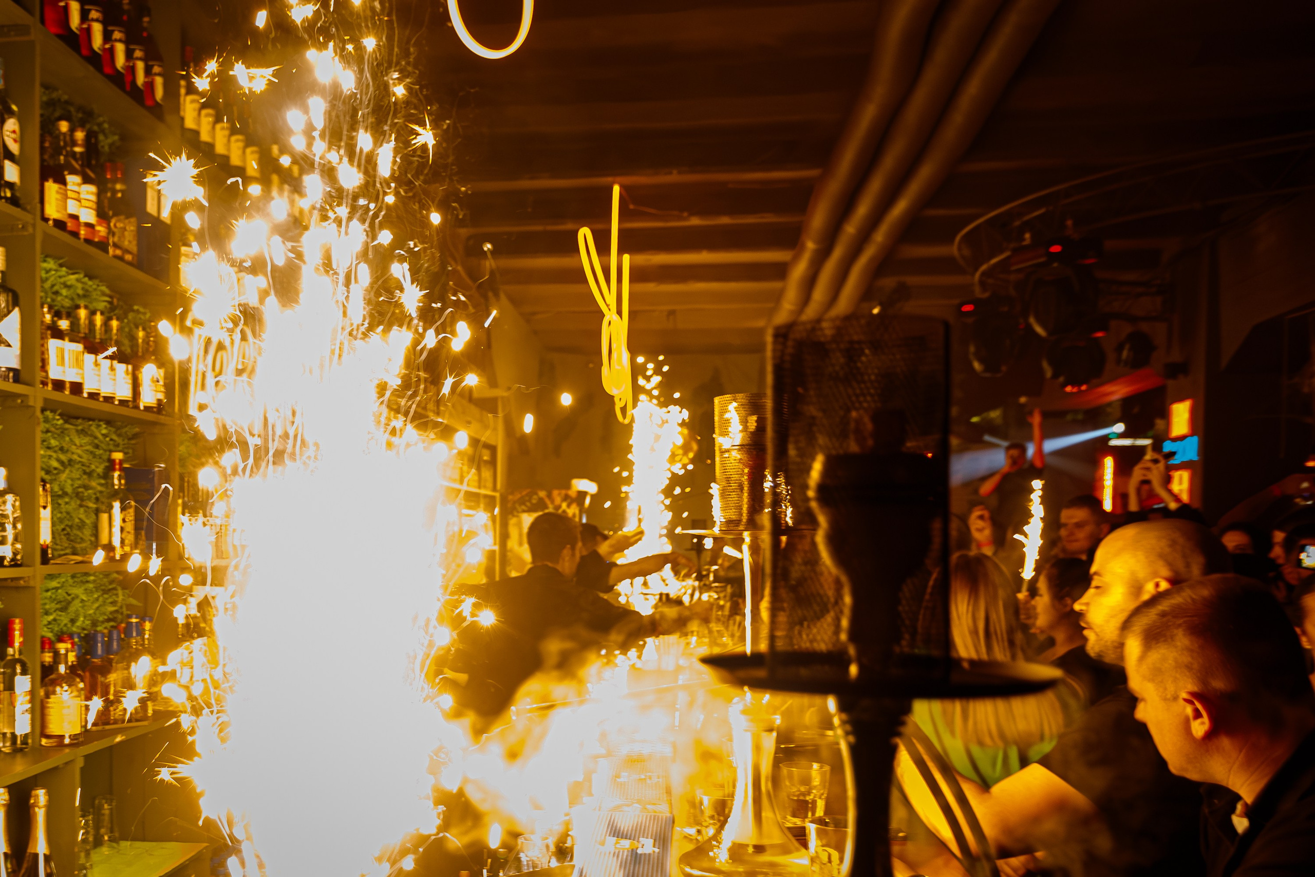 Tortuga_Lambriq_part.1_Симферополь_22.11.2024. Аминов Руслан | Фотограф