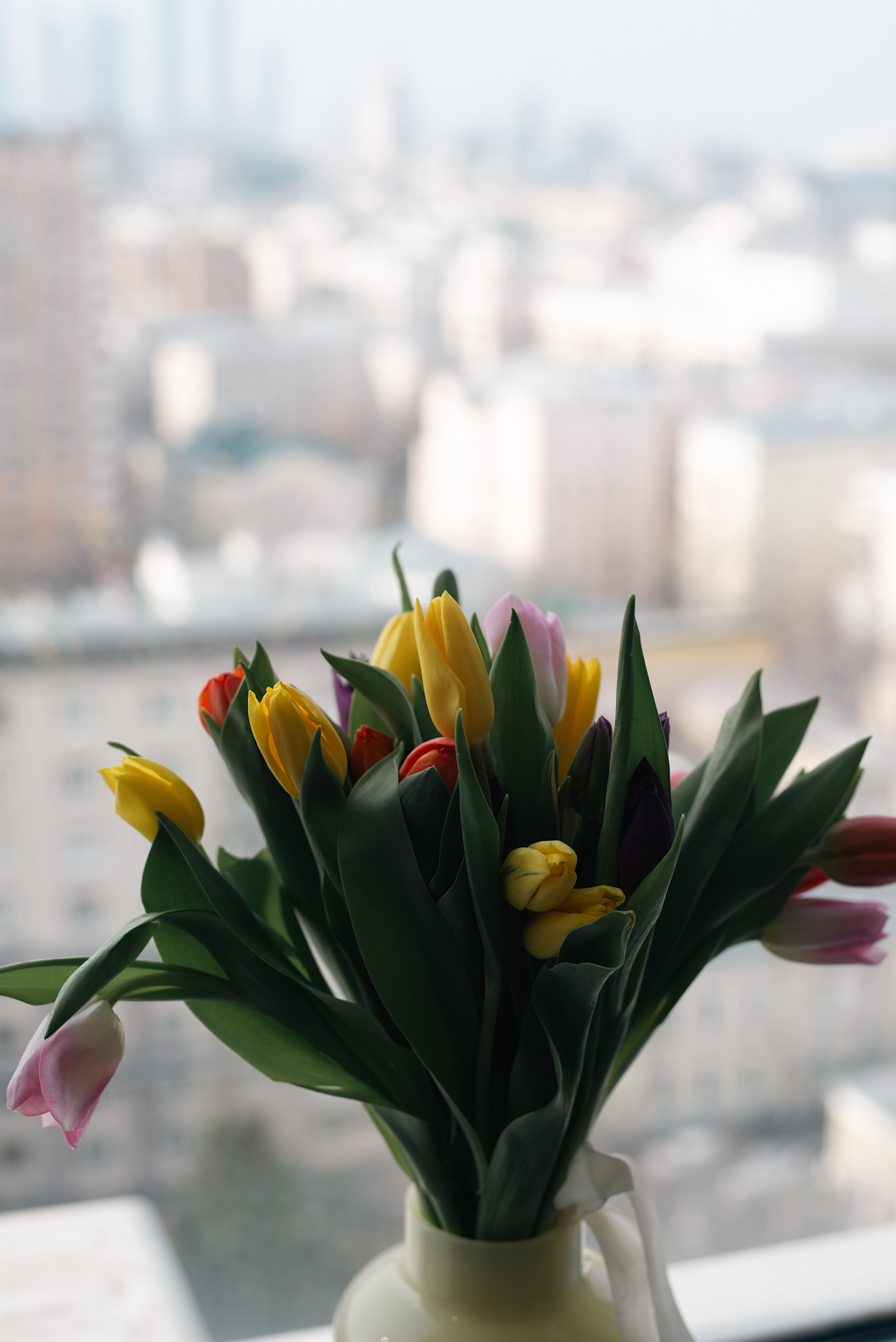 Корпоратив в языковой школе. Фотограф, визажист. Москва