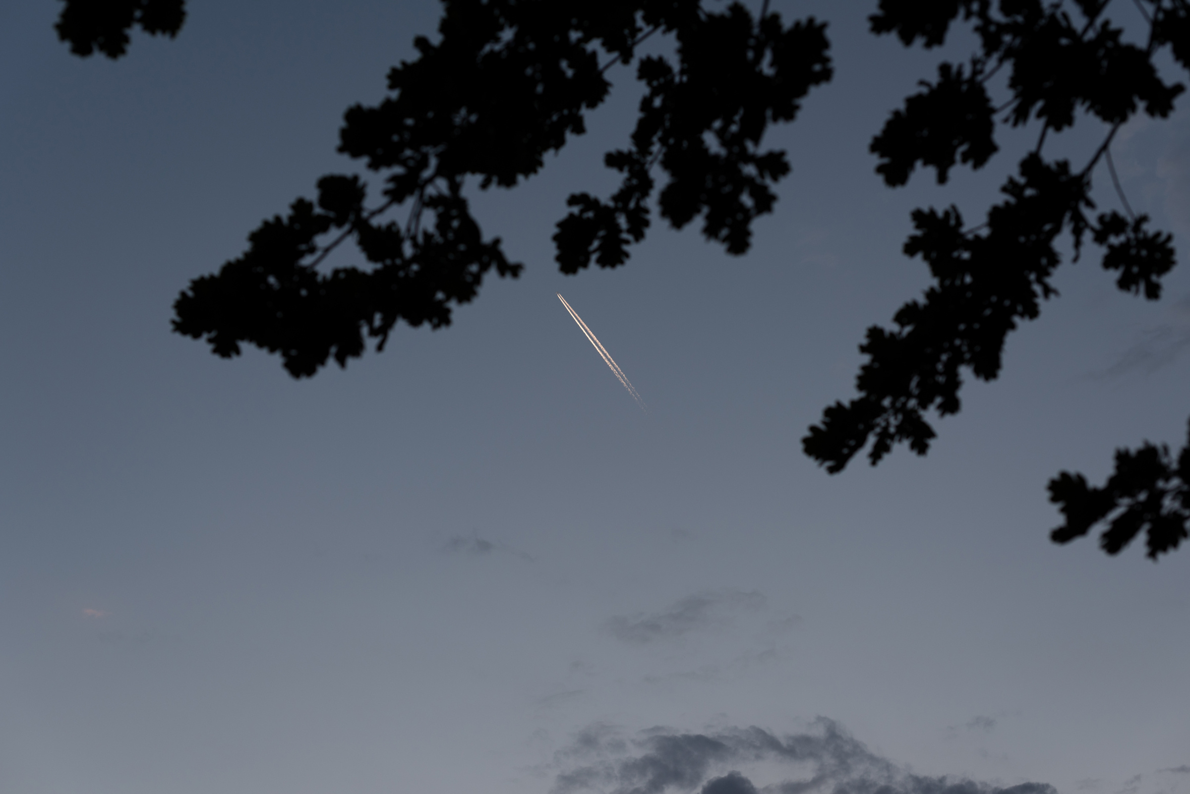 Wedding. Свадебный фотограф Волгоград Роман Брызгалин и Натали Никитина