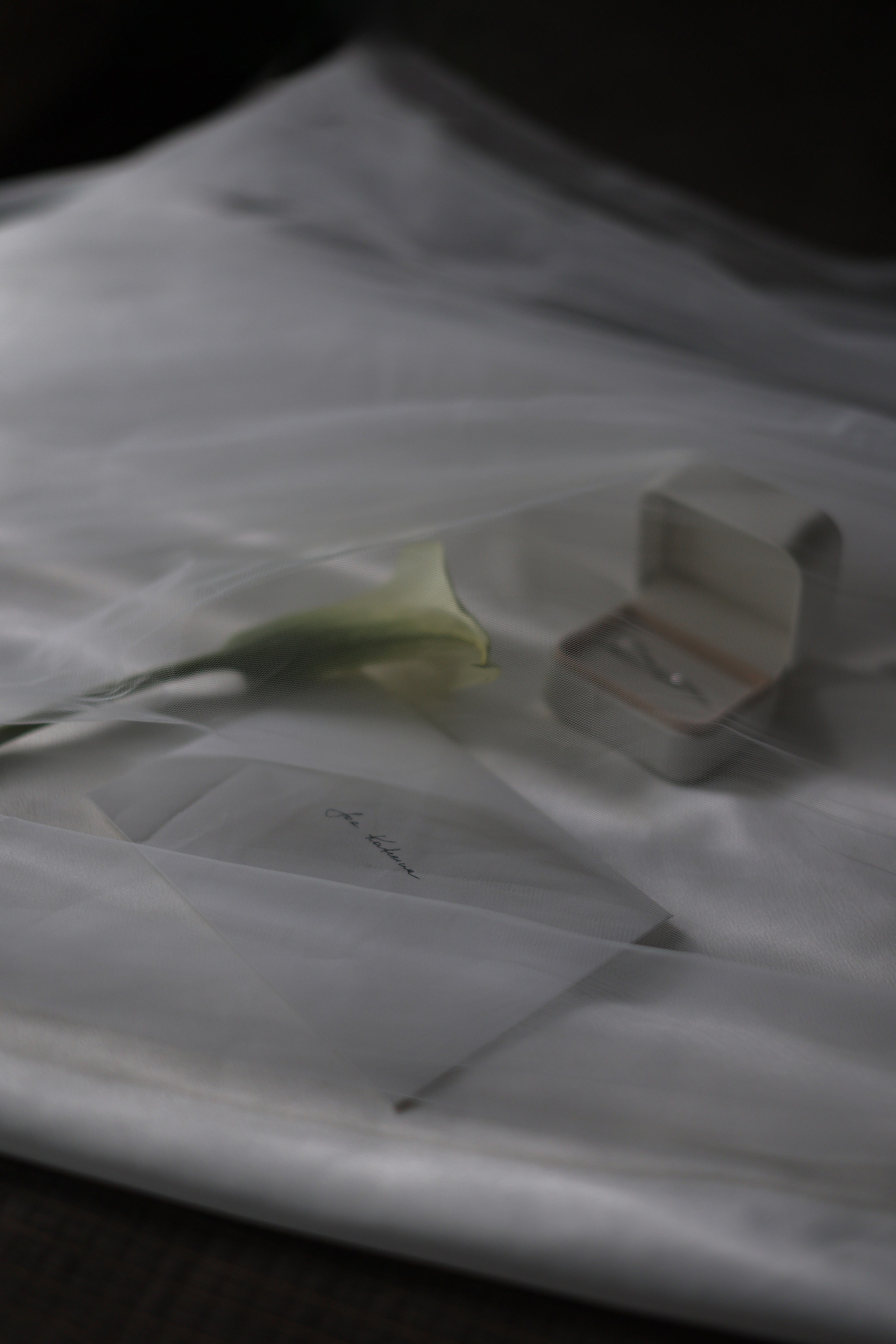 Сергей и Екатерина. Свадебные фотограф и видеограф в Минске Голдосовы Марина и Вадим