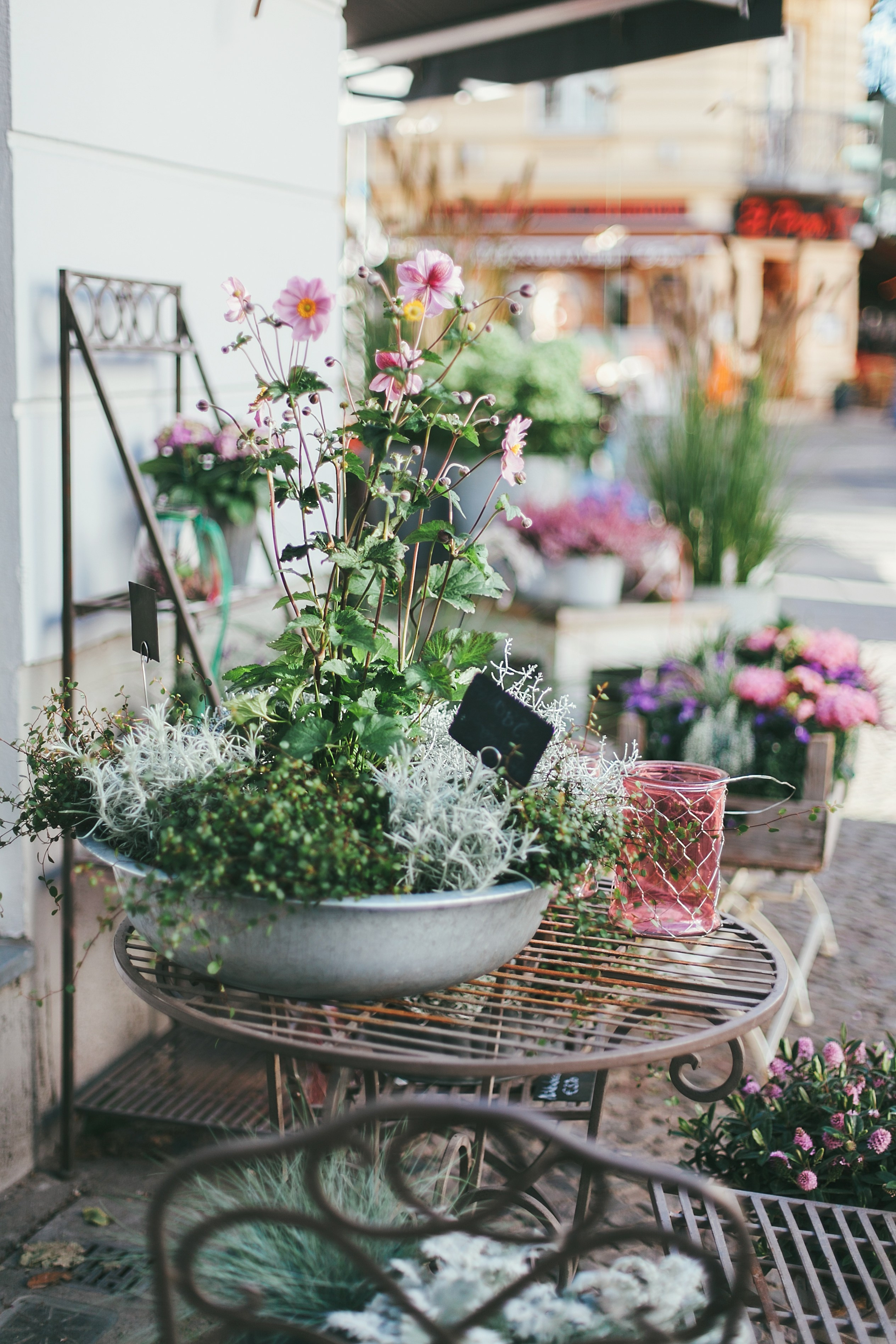 Берлин. Аня Степанова