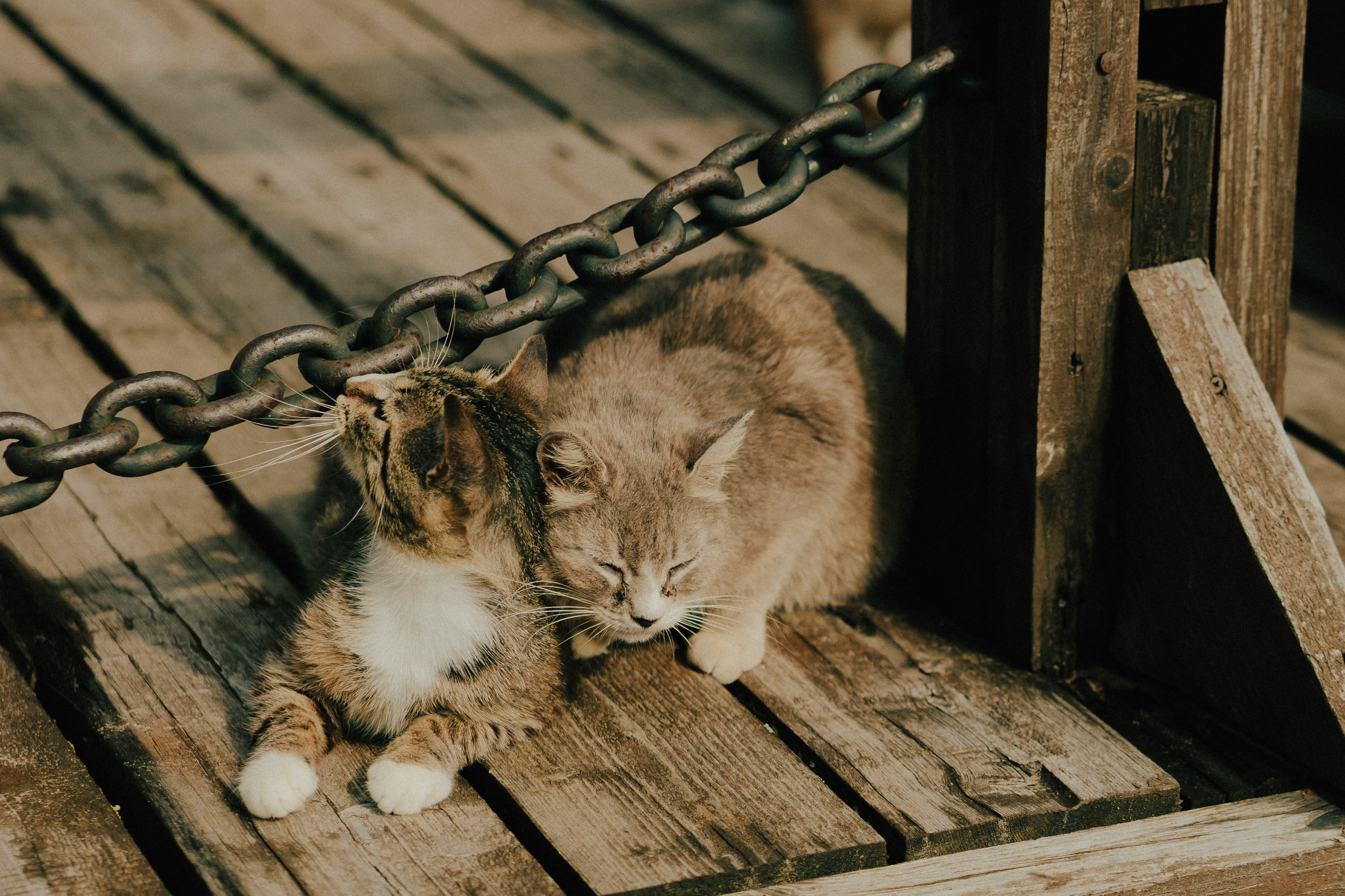 Ладога — это море. Wed Photographers 📷 Saint Petersburg
