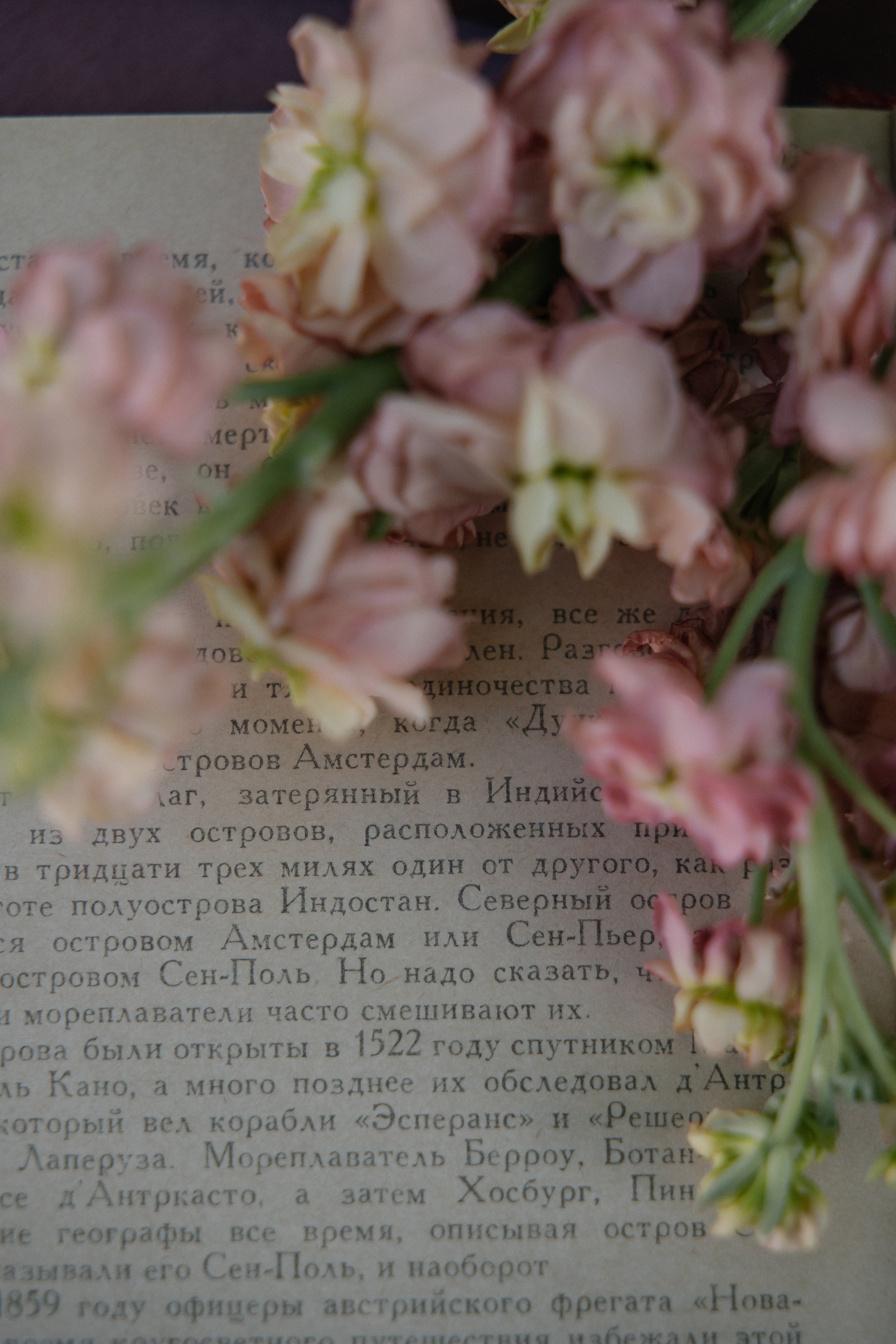 Паша и Милана. Свадебный фотограф в Красноярске