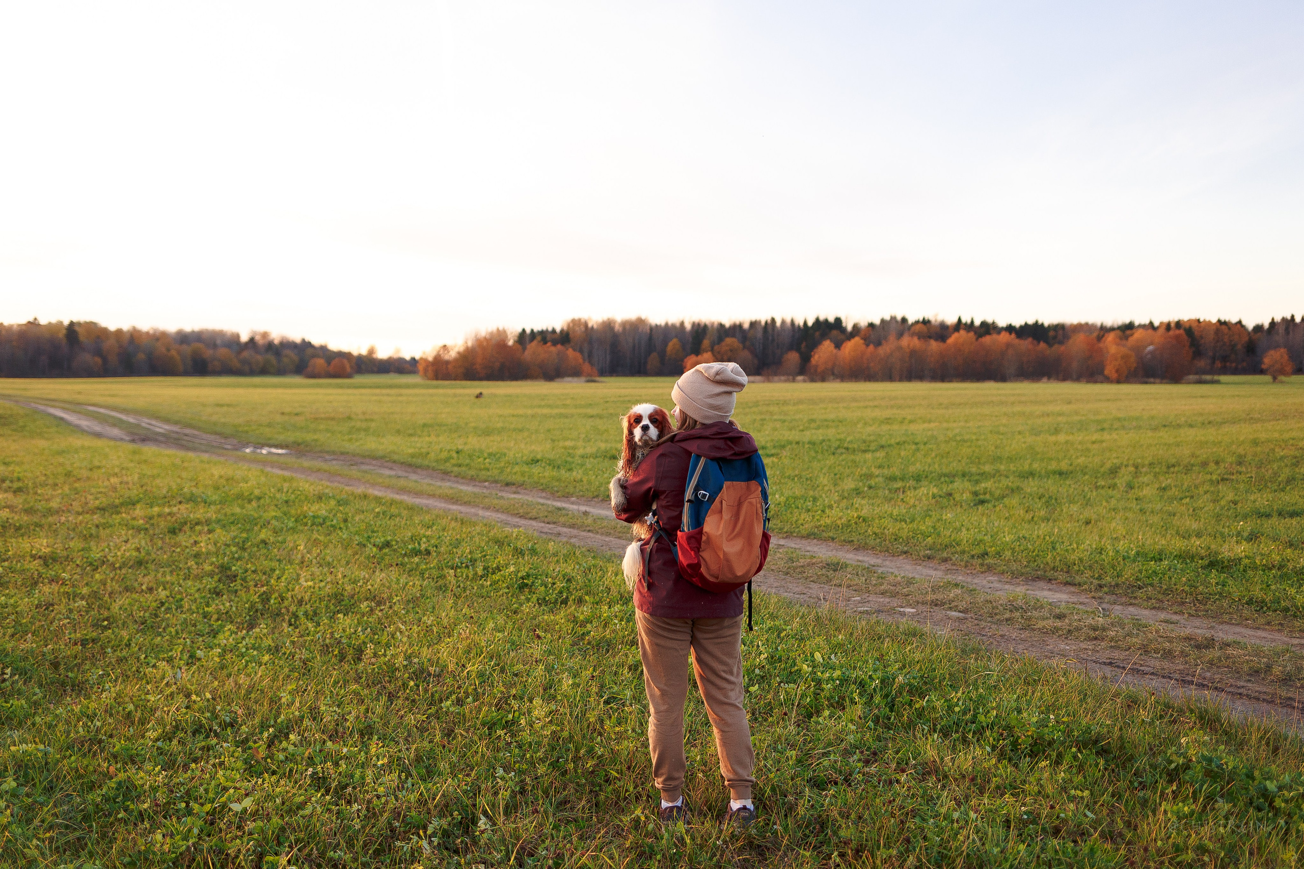 Октябрьский закат в полях. Алина и Лео. Фотограф-анималист Наталия Чистюхина в г. Сосновый Бор и ЛО