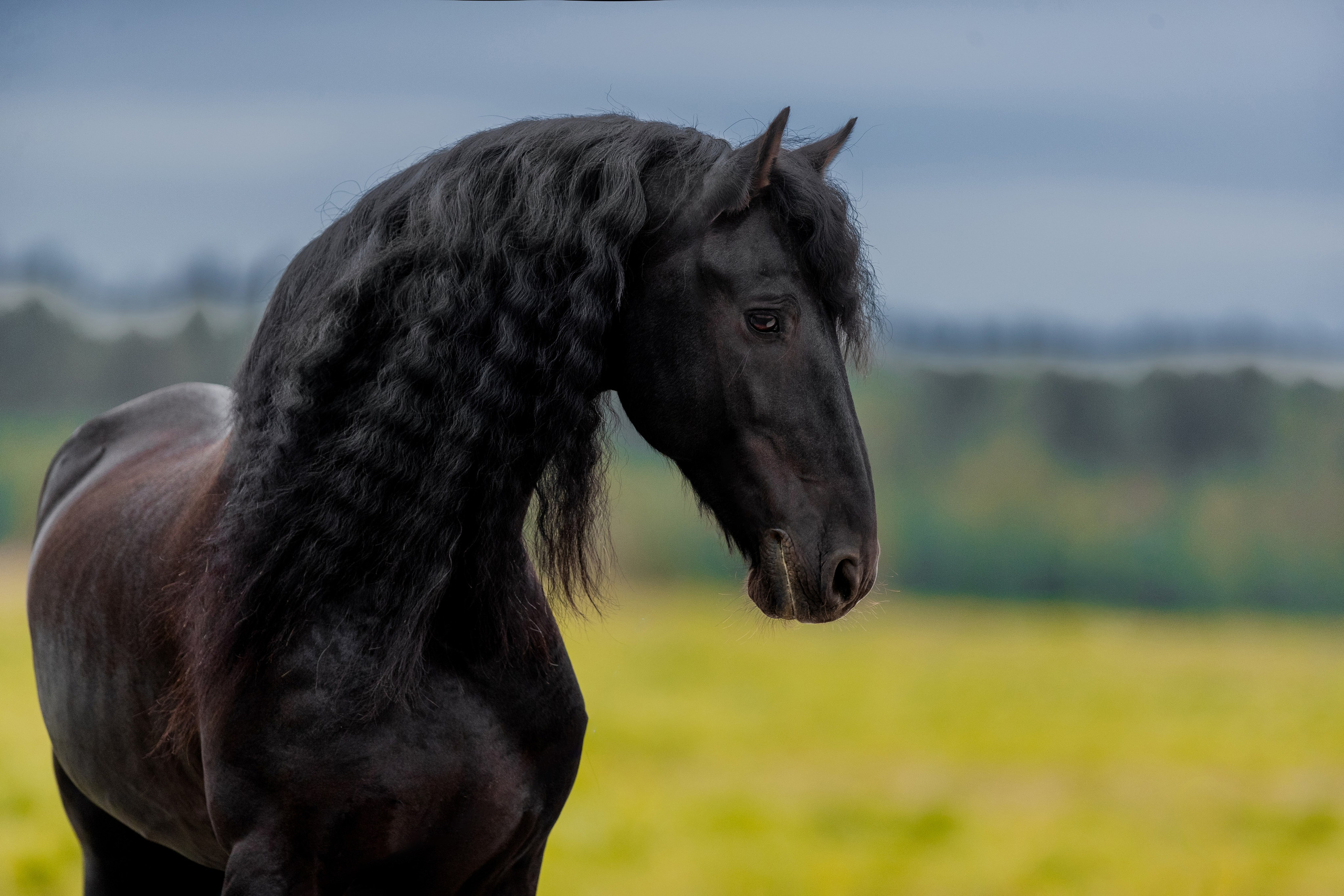 На природе. Фотограф-анималист Ксендзова Кристина