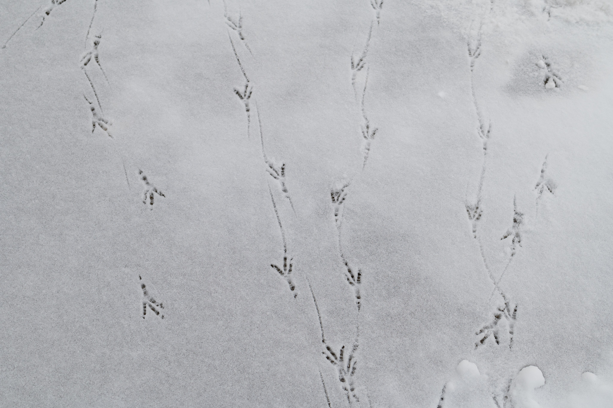 20231126 Смотровая. Дмитрий Ремизов. Фотография, как хобби