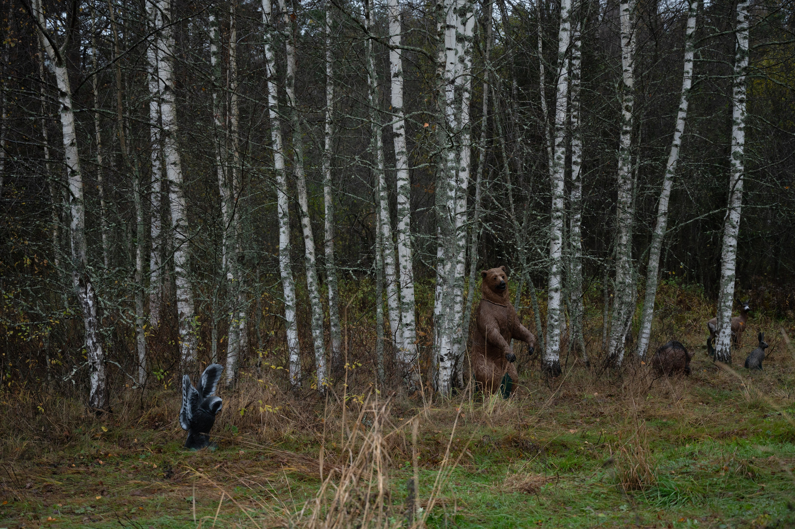 Press tour DEESPORT. Портретный и репортажной фотограф Алексей Волков. Москва, Оренбург