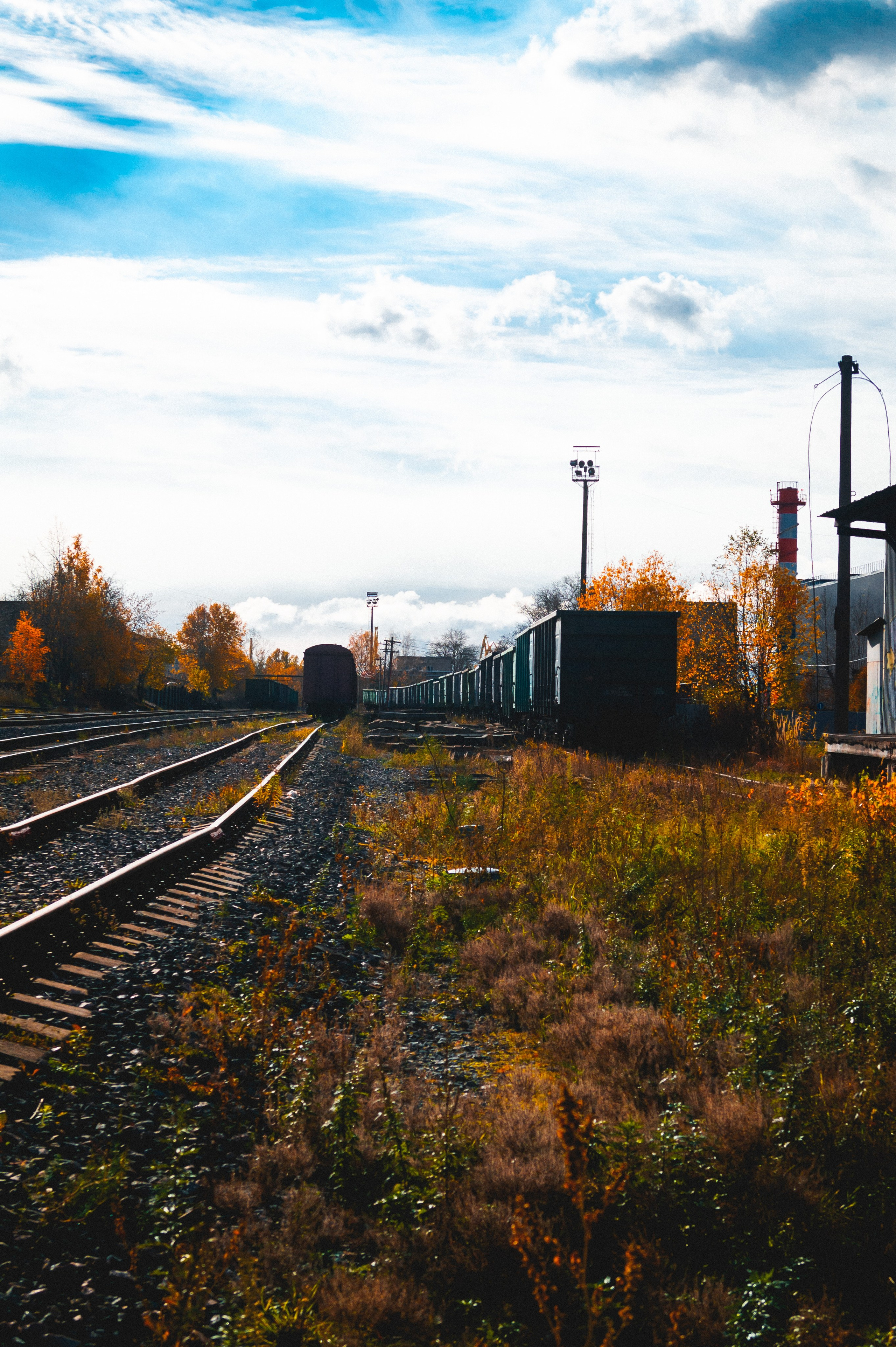 Октябрь 2025. Den Mirov — Фотограф, Музыкант