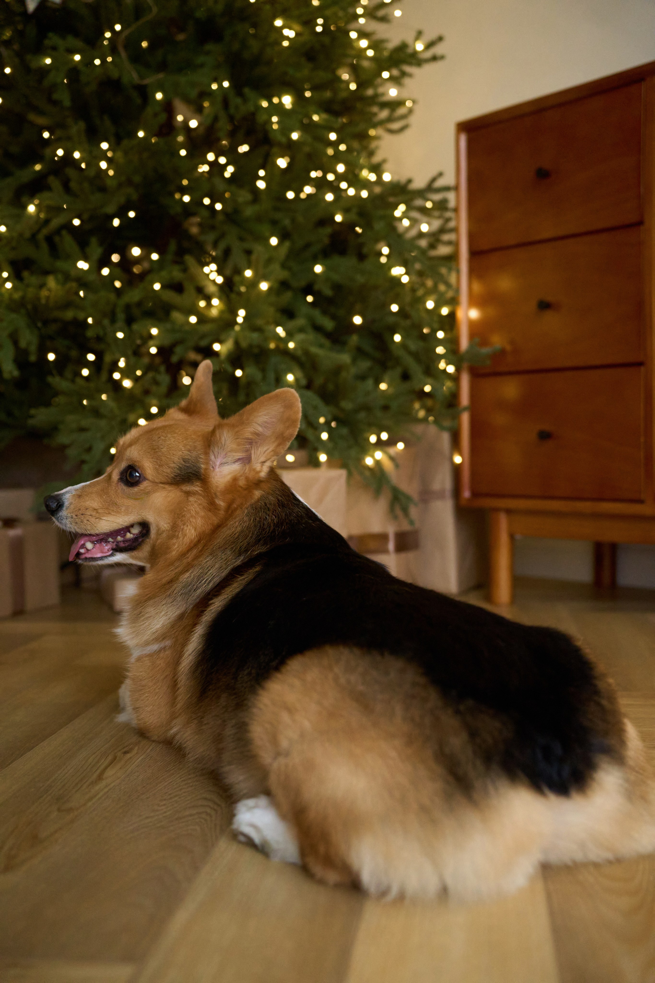 Максим, Кристина и Кофри. Фотограф из Владивостока Юлия Черепова