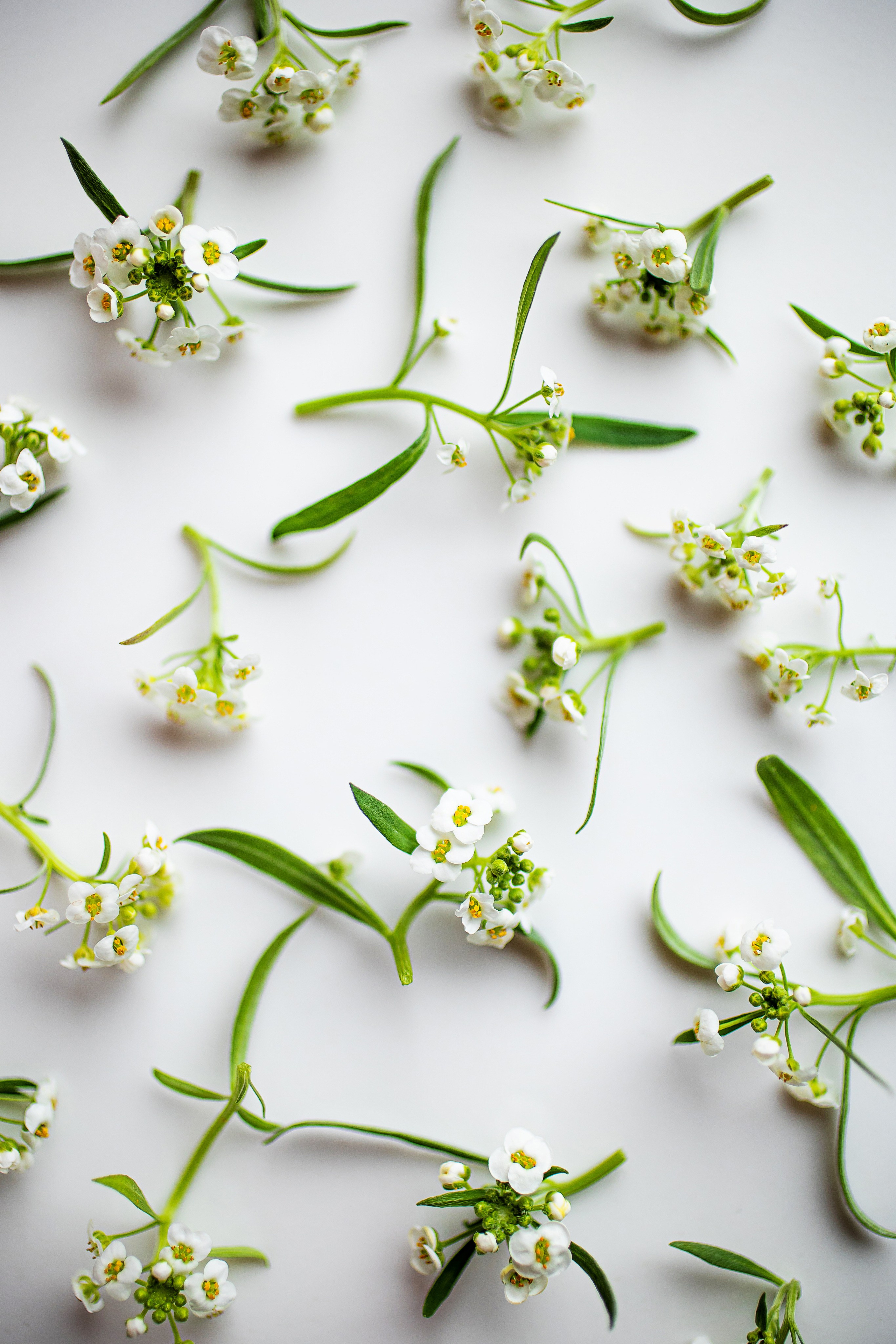 LEVELS. Фотограф Агеева Мария