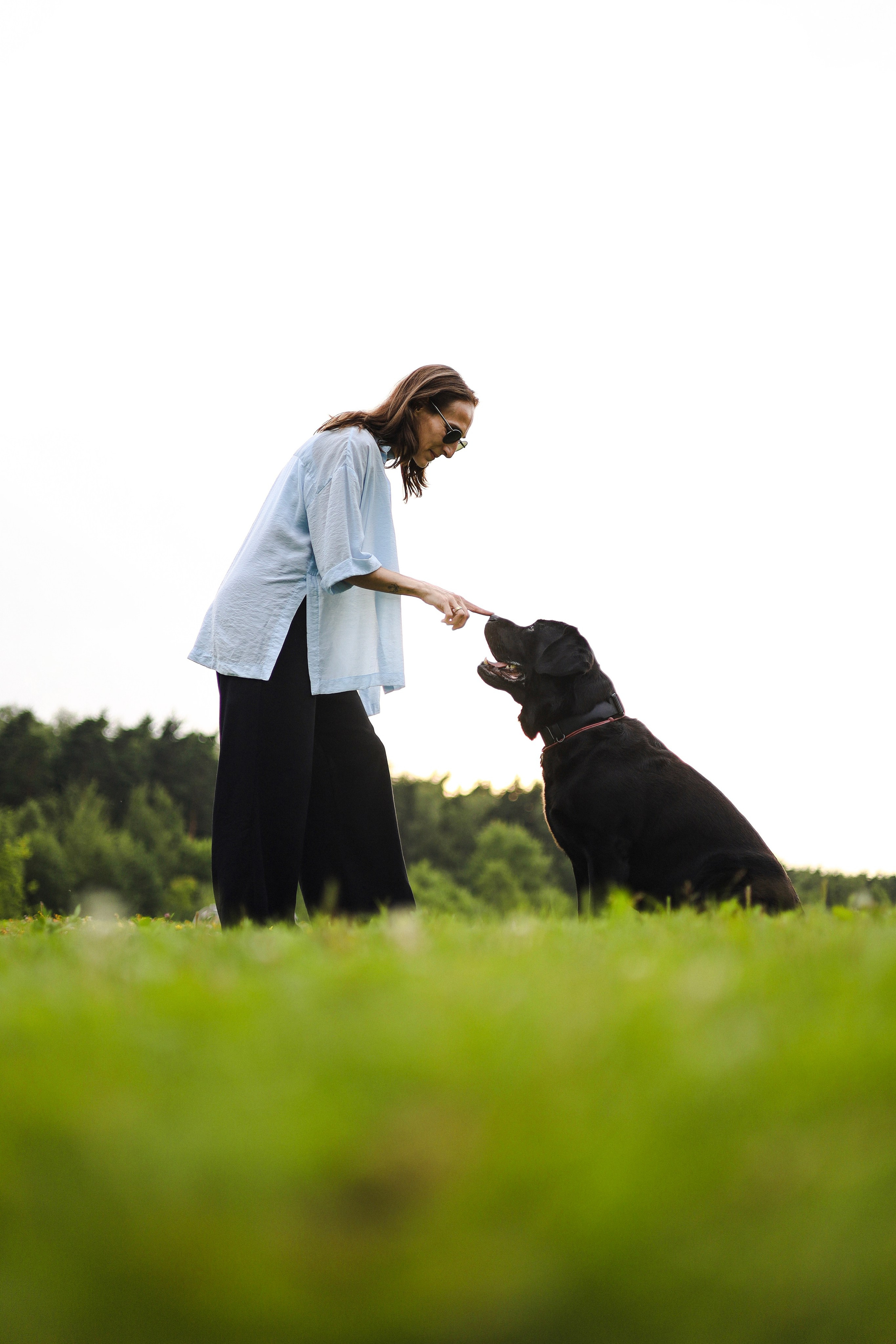 Найт и Соня. Фотограф-анималист Ксения Шевцова|Москва