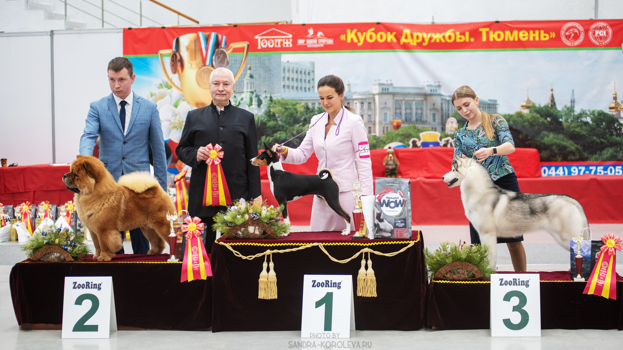 Выставка собак тюмень 14.01.2023. Дог-фотограф в Тюмени Александра Королева