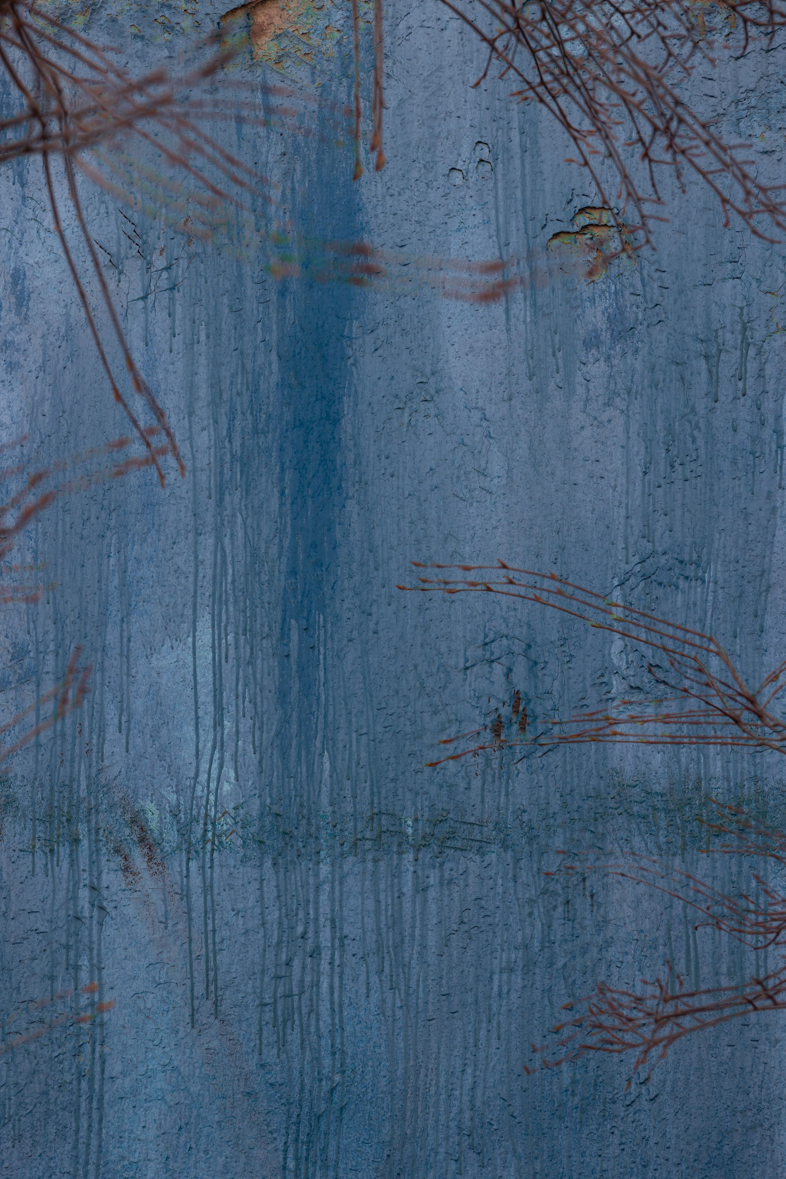 Art prints. Фотограф алина стерхова, алина стерхова фотограф, фотограф москва