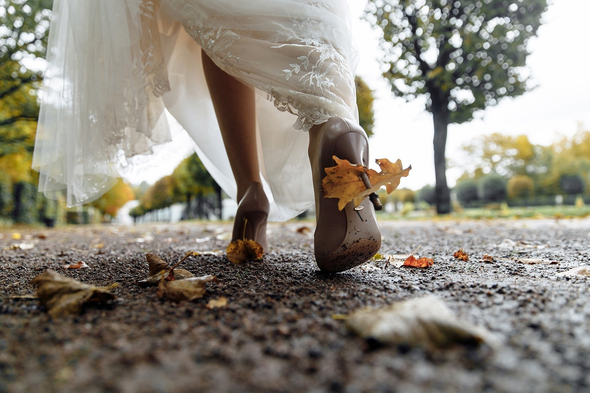 Свадьбы. Фотограф Игорь Цаплин