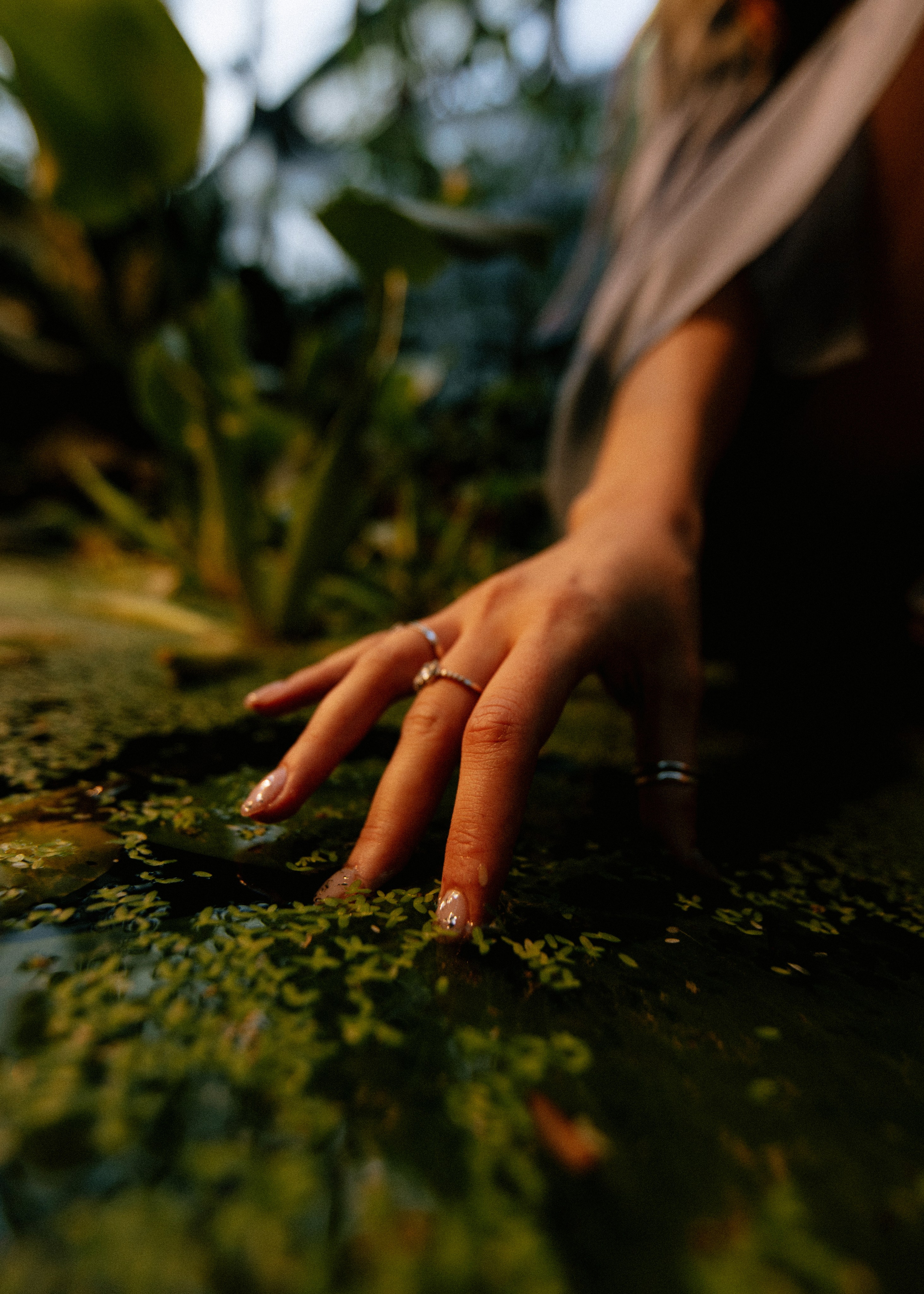 ФЕИ. Фотограф|Катя Рикошетер