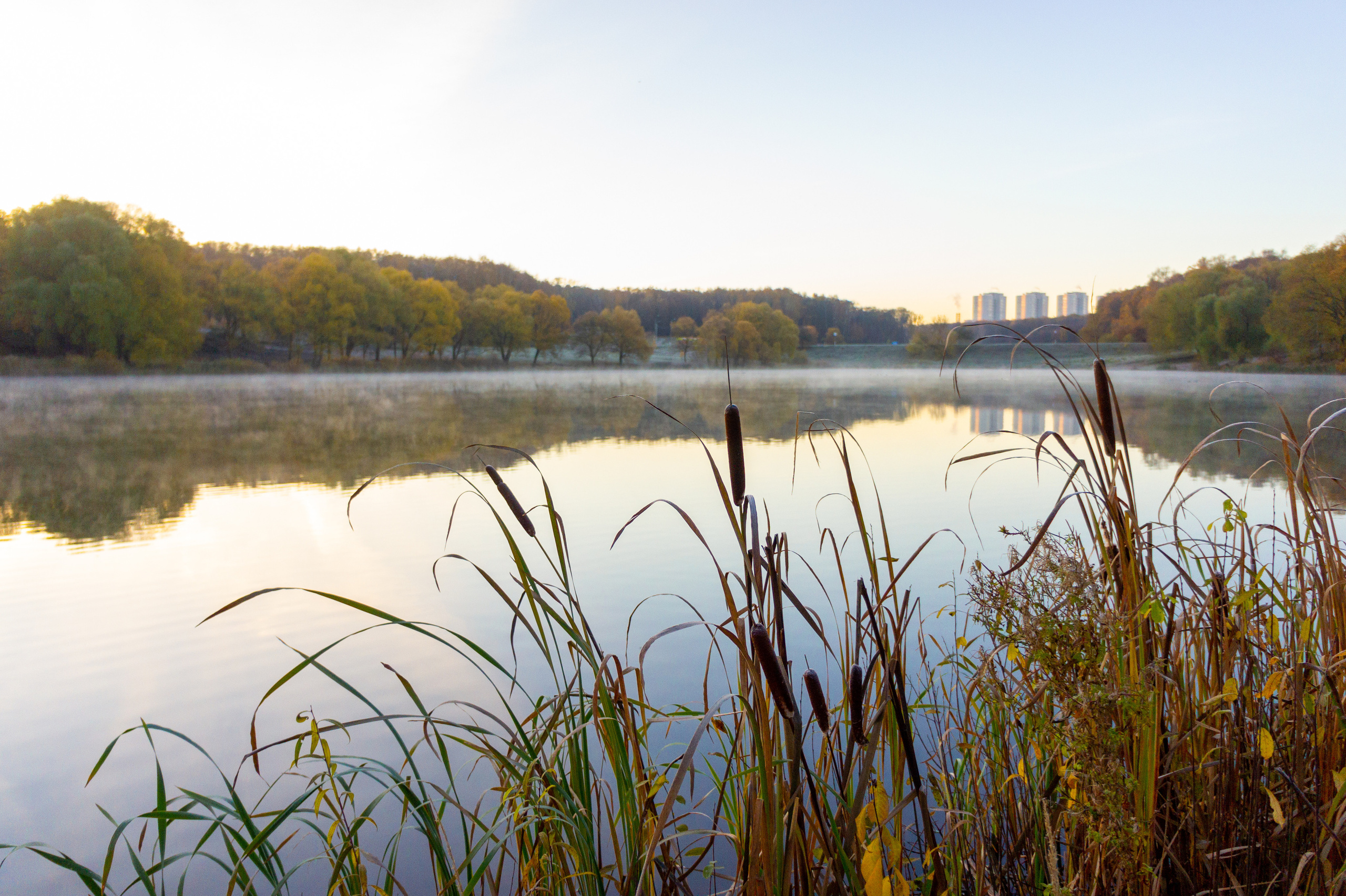 Тульский ЦПКиО им П. П. Белоусова осенью (old SONY NEX-5). Фотограф в Туле Крупский АнДРей. Фотостудия «КАДР71» в Туле