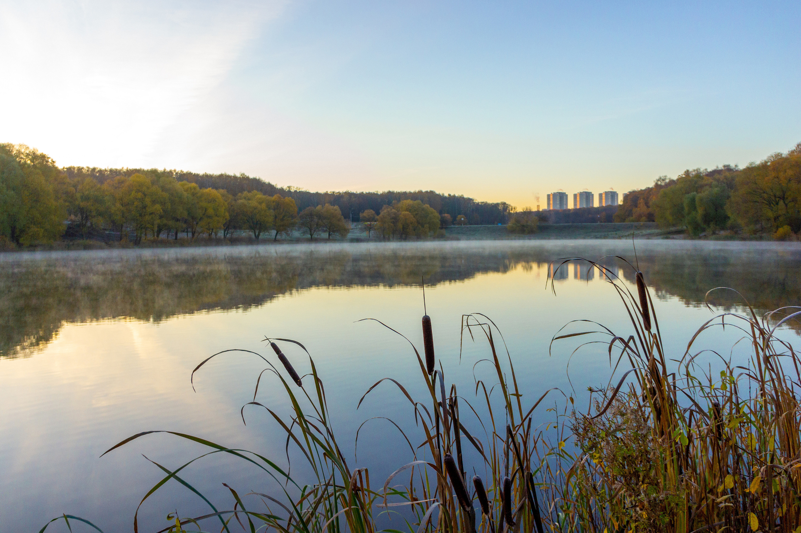 Тульский ЦПКиО им П. П. Белоусова осенью (old SONY NEX-5). Фотограф в Туле Крупский АнДРей. Фотостудия «КАДР71» в Туле