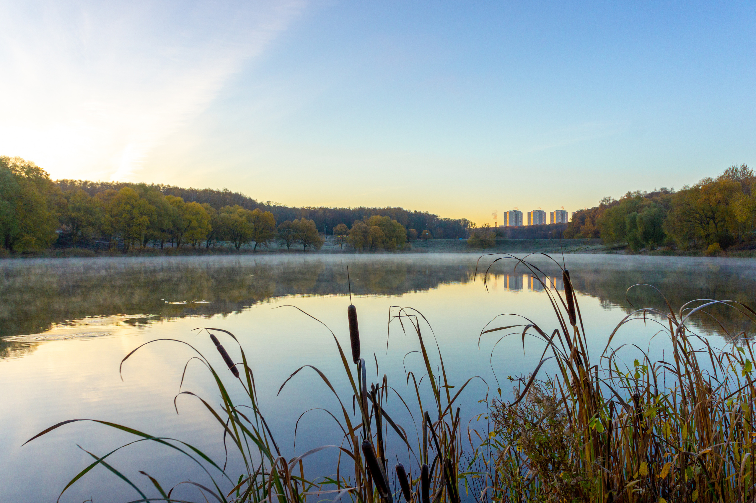 Тульский ЦПКиО им П. П. Белоусова осенью (old SONY NEX-5). Фотограф в Туле Крупский АнДРей. Фотостудия «КАДР71» в Туле