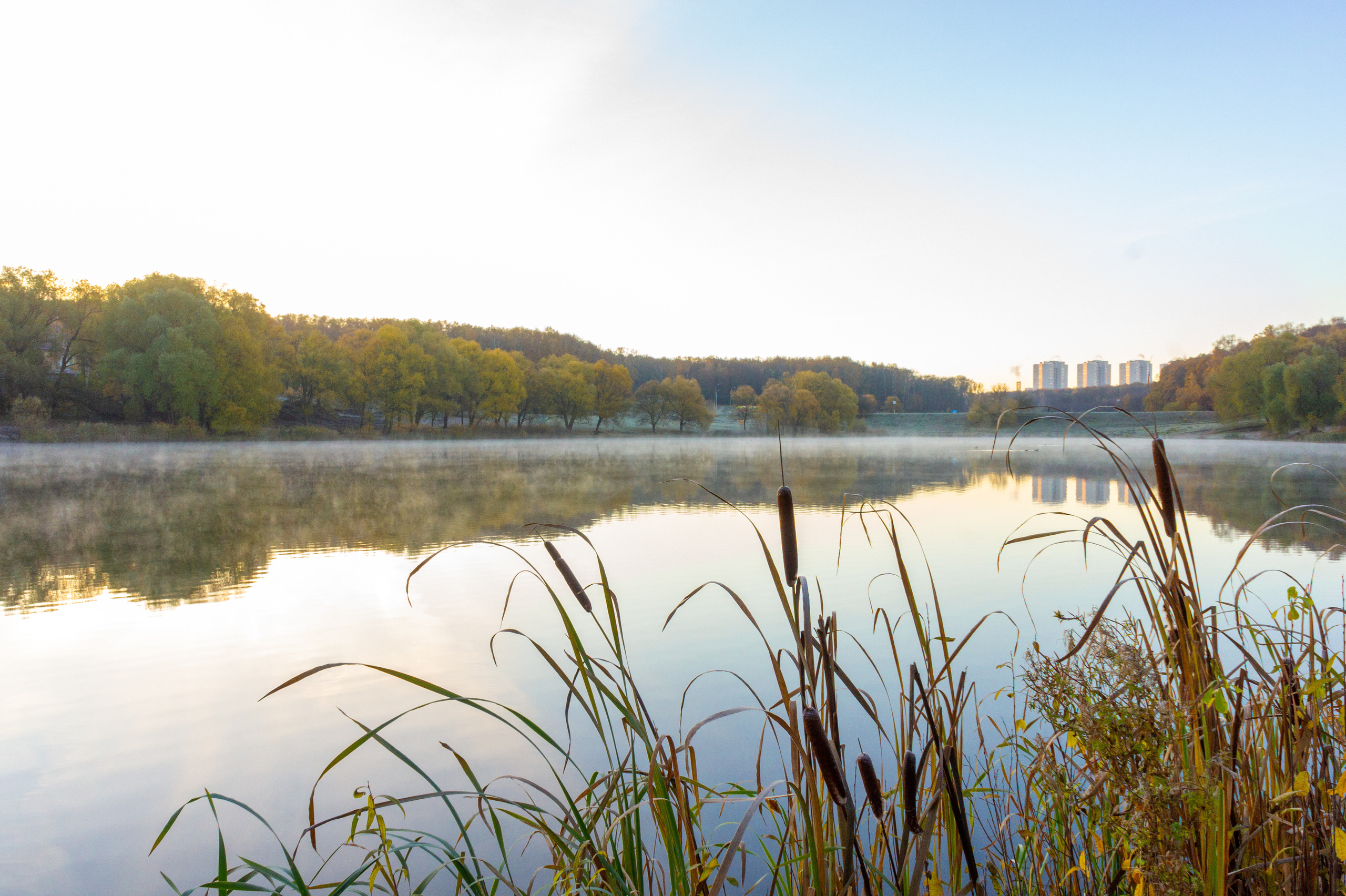 Тульский ЦПКиО им П. П. Белоусова осенью (old SONY NEX-5). Фотограф в Туле Крупский АнДРей. Фотостудия «КАДР71» в Туле