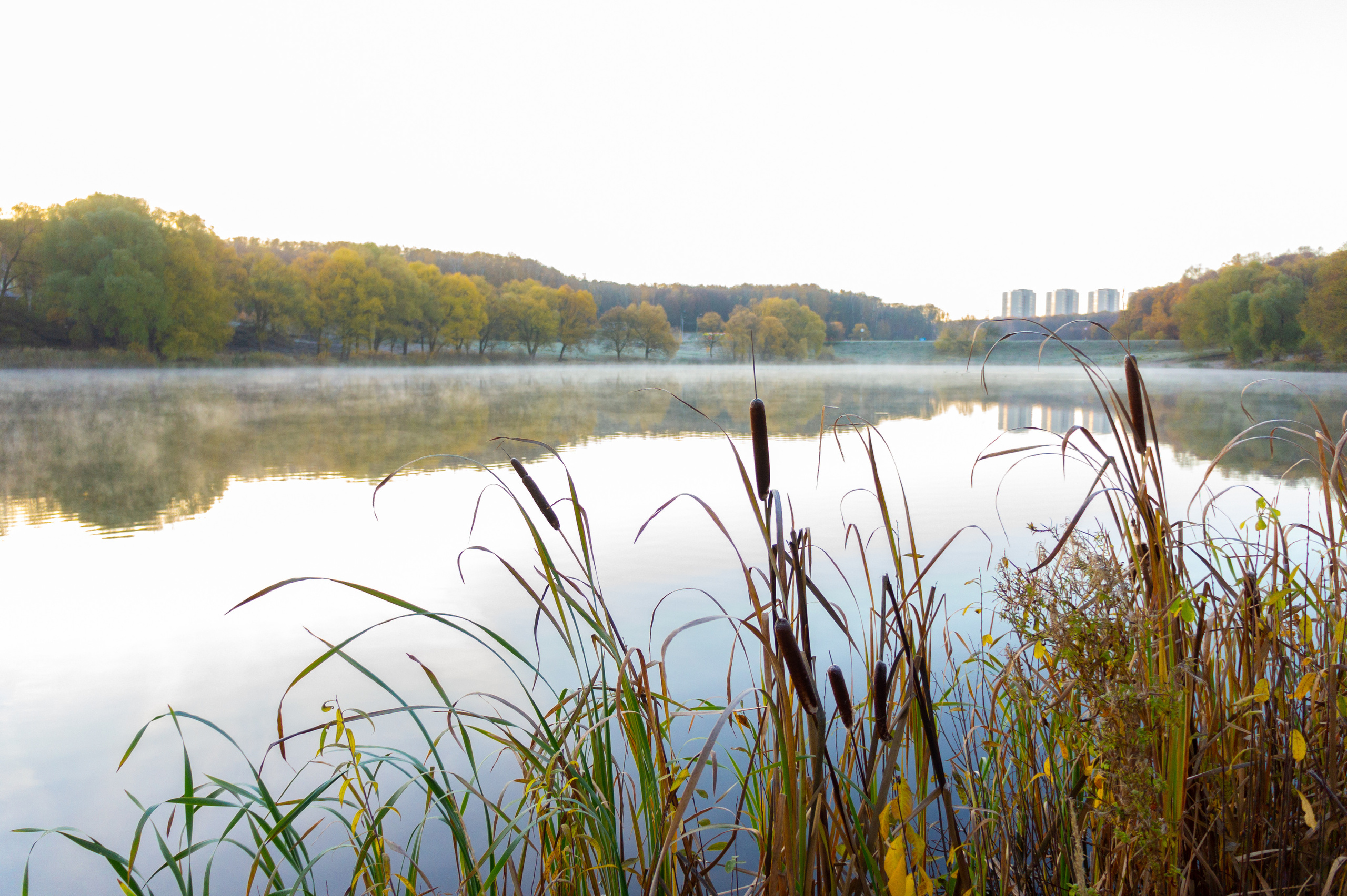 Тульский ЦПКиО им П. П. Белоусова осенью (old SONY NEX-5). Фотограф в Туле Крупский АнДРей. Фотостудия «КАДР71» в Туле
