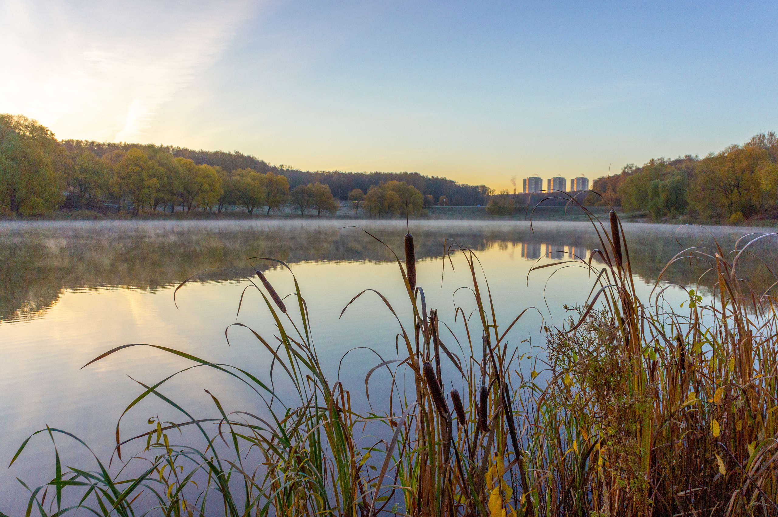 Тульский ЦПКиО им П. П. Белоусова осенью (old SONY NEX-5). Фотограф в Туле Крупский АнДРей. Фотостудия «КАДР71» в Туле