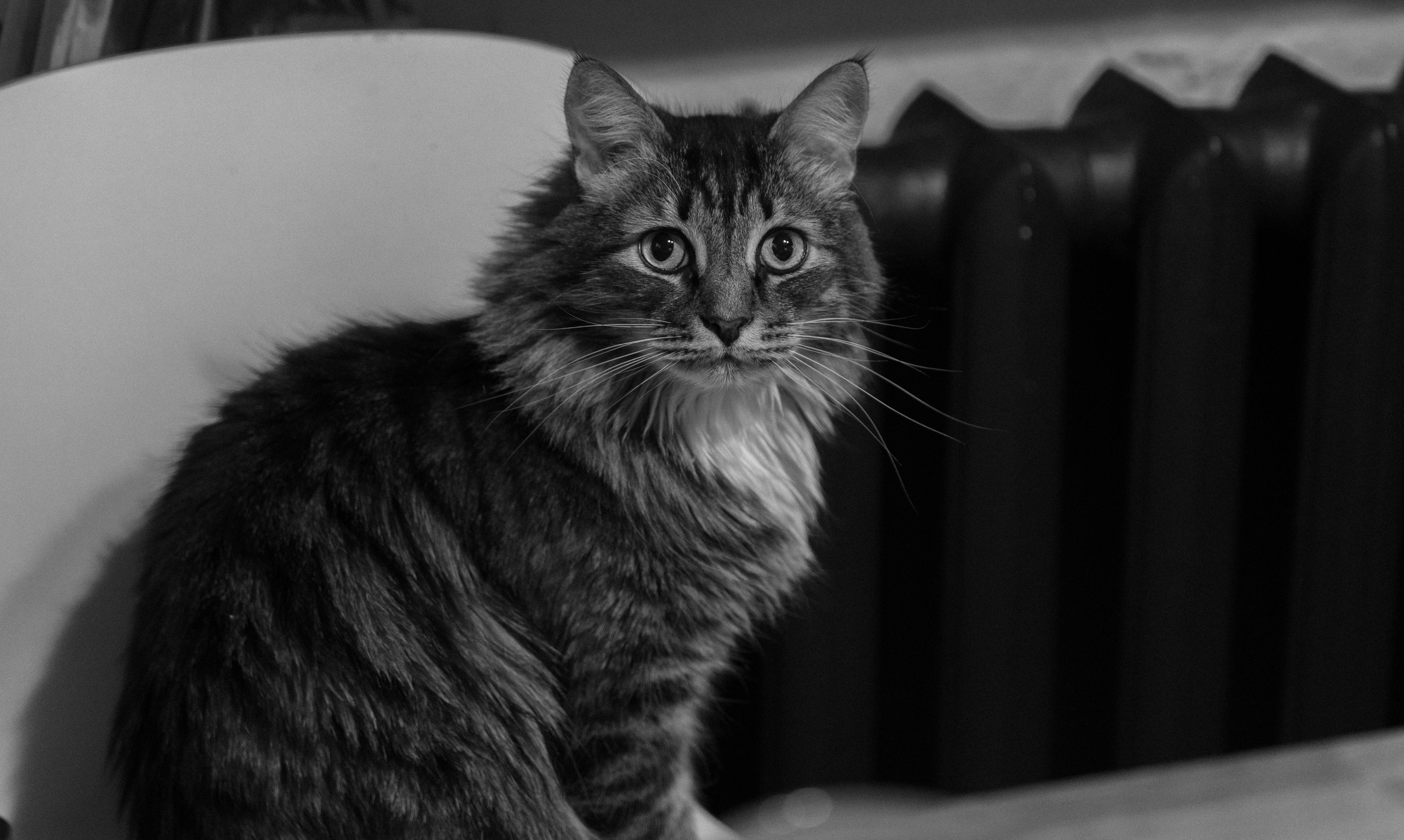 Александра, Сергей '23. Street и Lifestyle съёмки в Москве