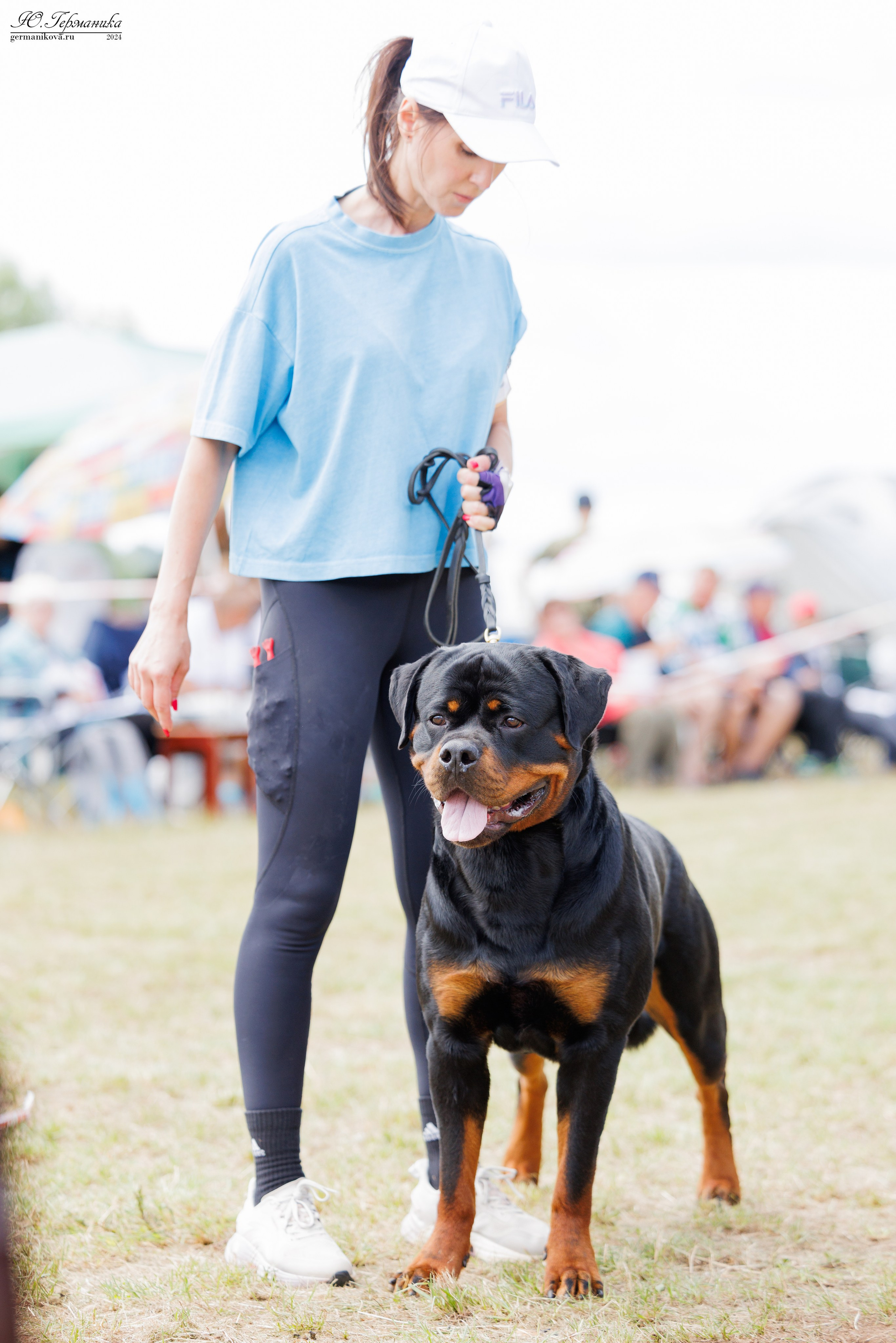 ПК и КЧК ротвейлеры Тверь 6-7.07.2024. Фотограф-анималист Юлия Германика