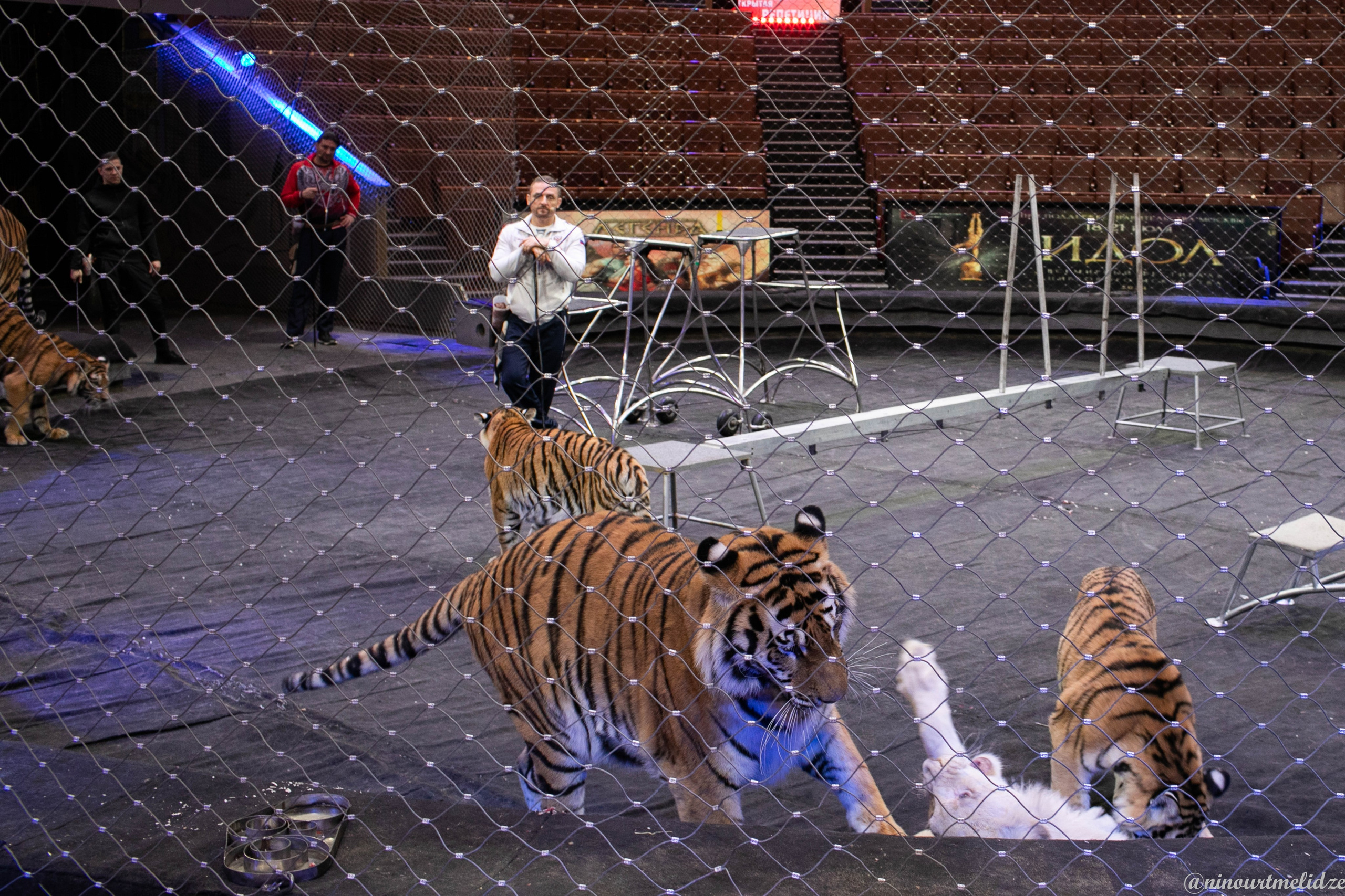 В закулисье у братьев Запашных. Art photographer Nino