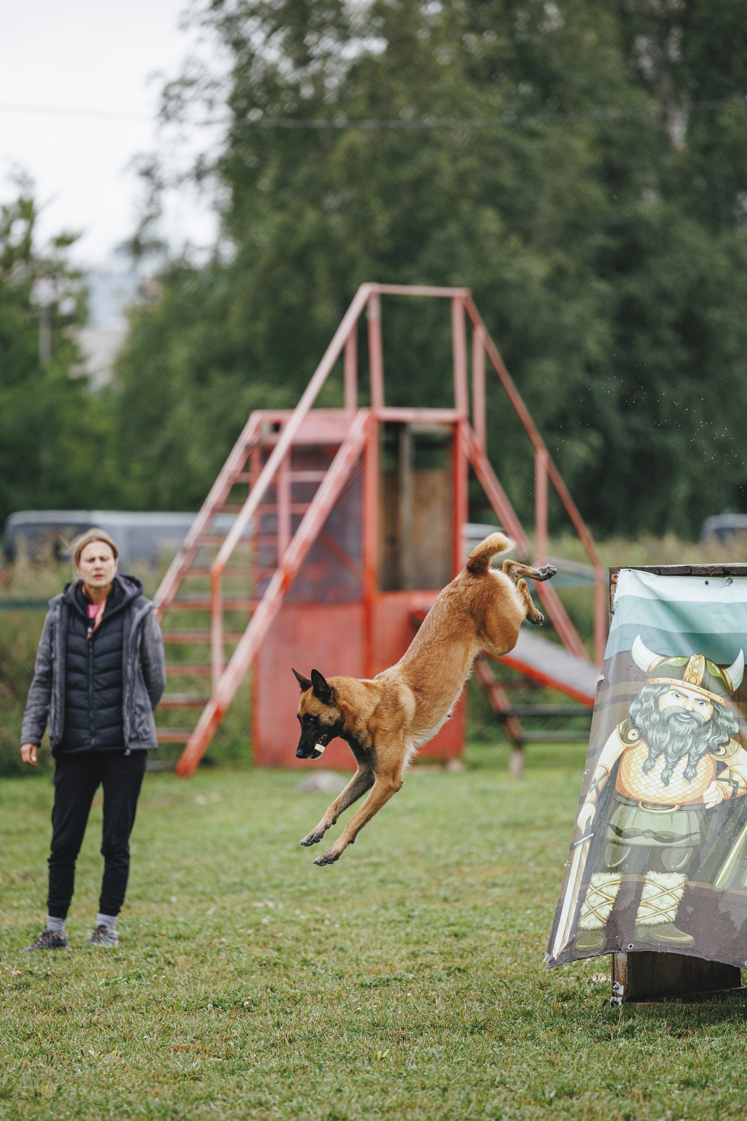 08.08.25-10.08.25 ЧР по мондьорингу г. Вологда. Фотограф-анималист Анна Маринич